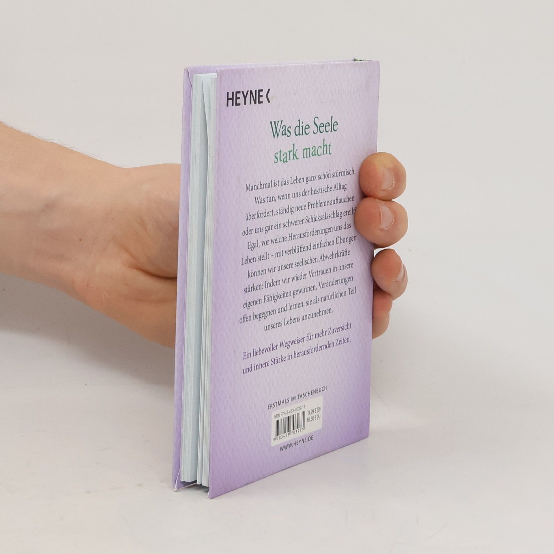 Cheryl Rickman Das kleine Buch der inneren Stärke