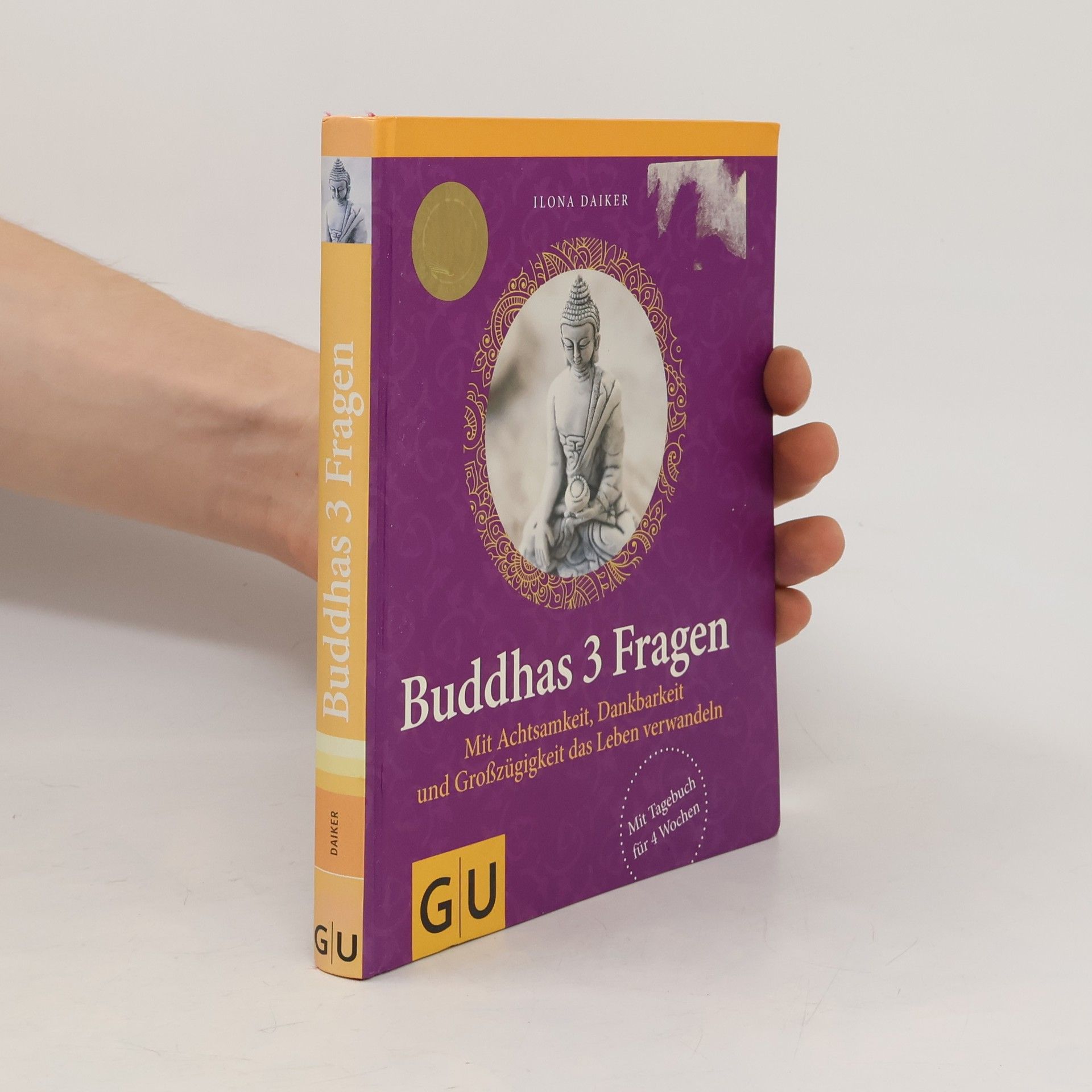 Ilona Daiker Buddhas 3 Fragen
