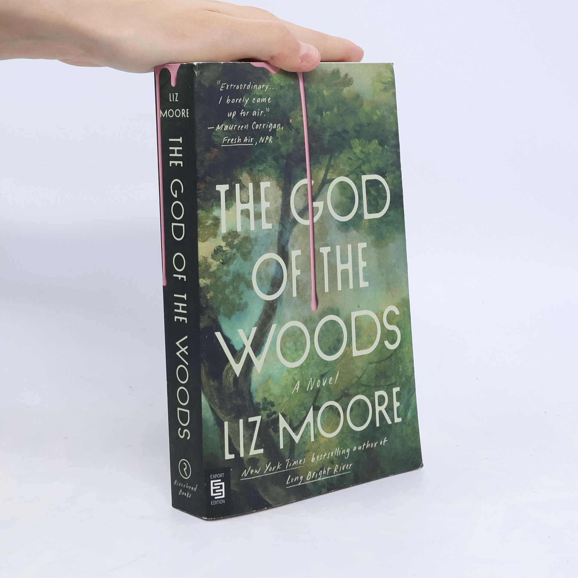 Liz Moore The God of the Woods