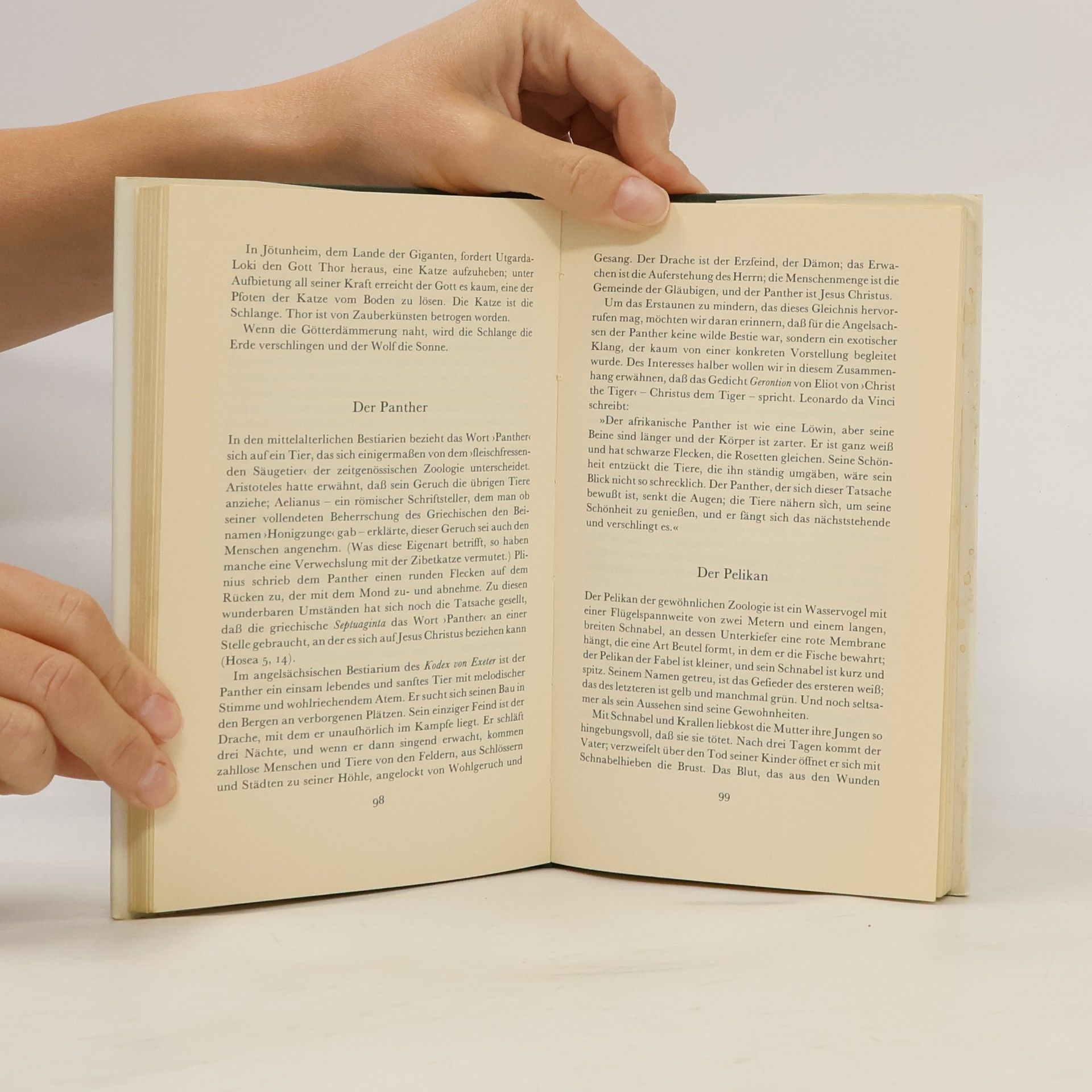 Jorge Luis Borges Gesammelte Werke. Einhorn, Sphinx und Salamander