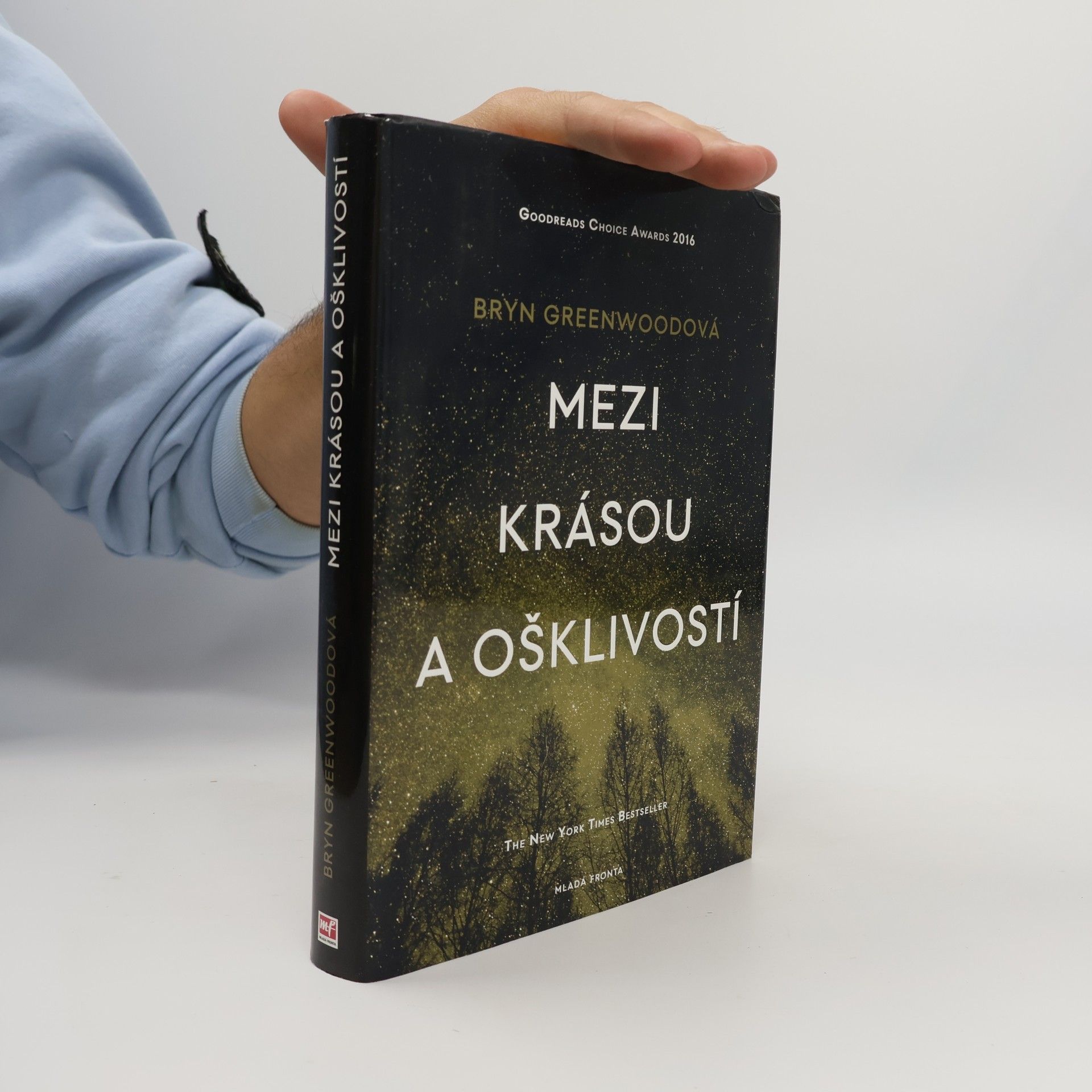 Bryn Greenwood Mezi krásou a ošklivostí