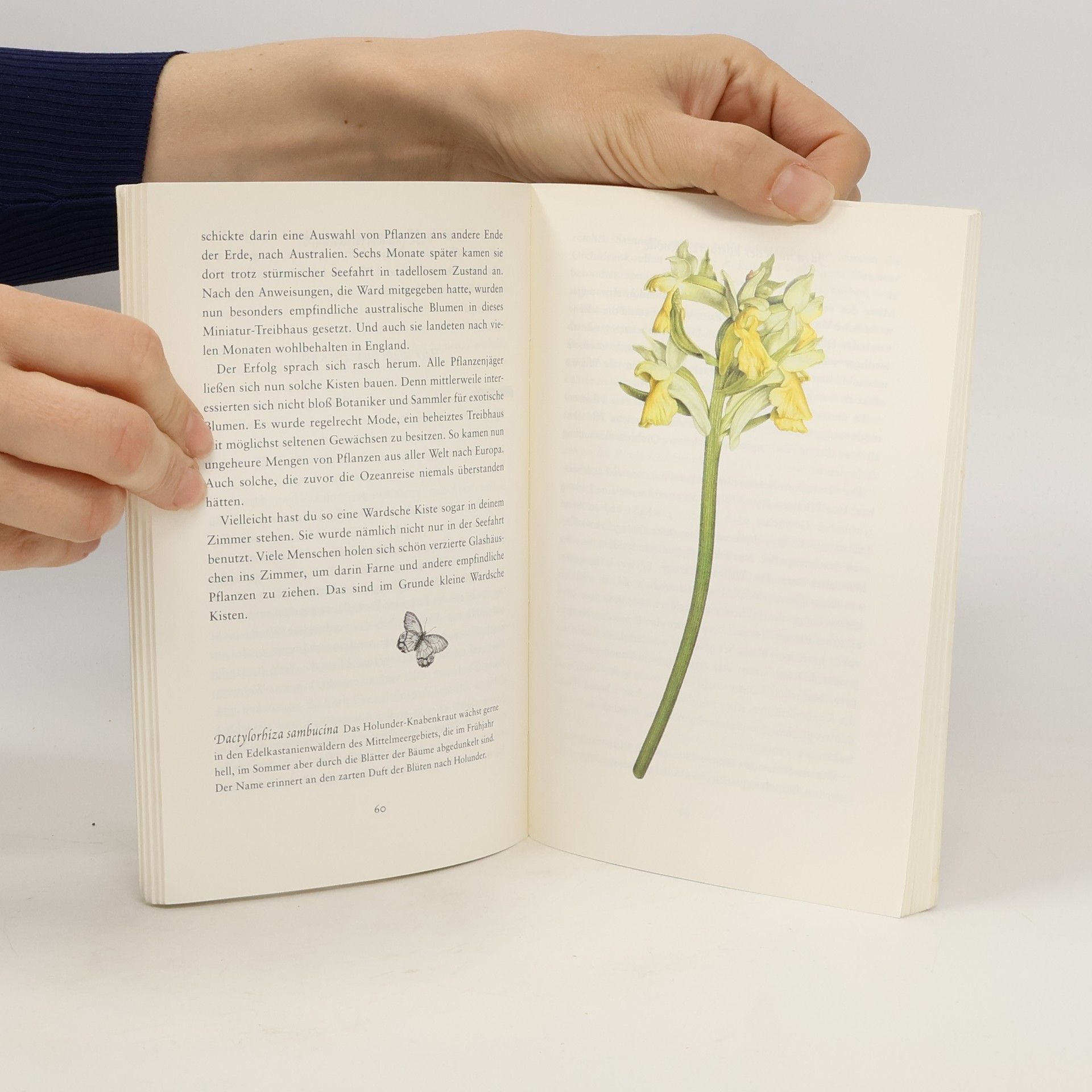 Florian Claus Meine Blumen
