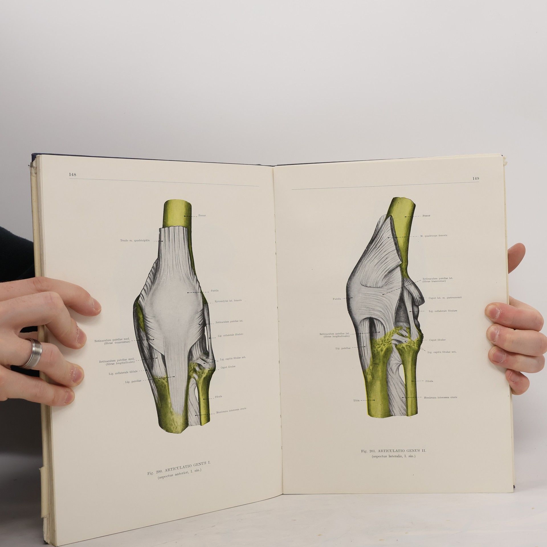 Ferenc Kiss Atlas anatómie človeka I
