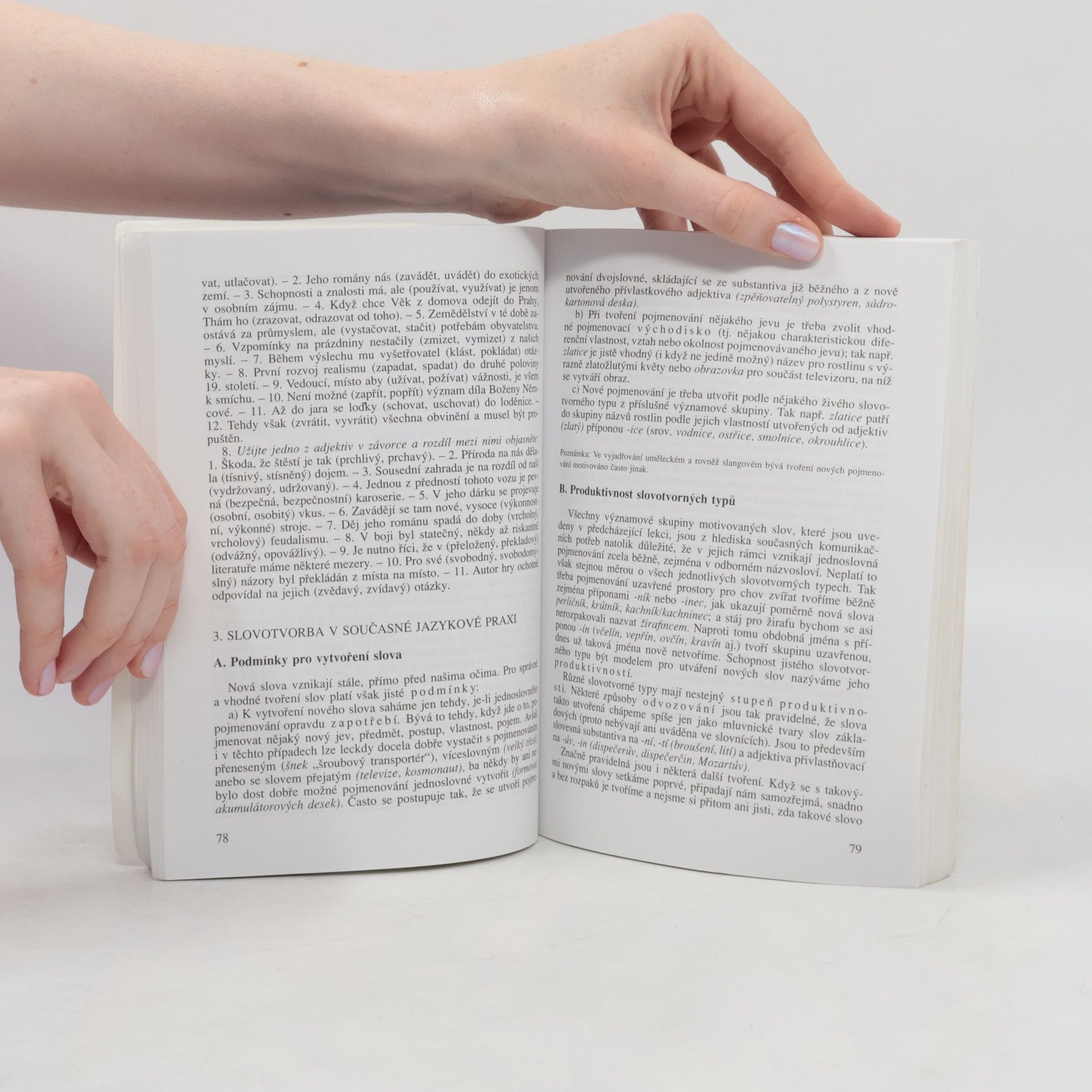 Autorenkollektiv Český jazyk pro střední školy I.-IV. ročník