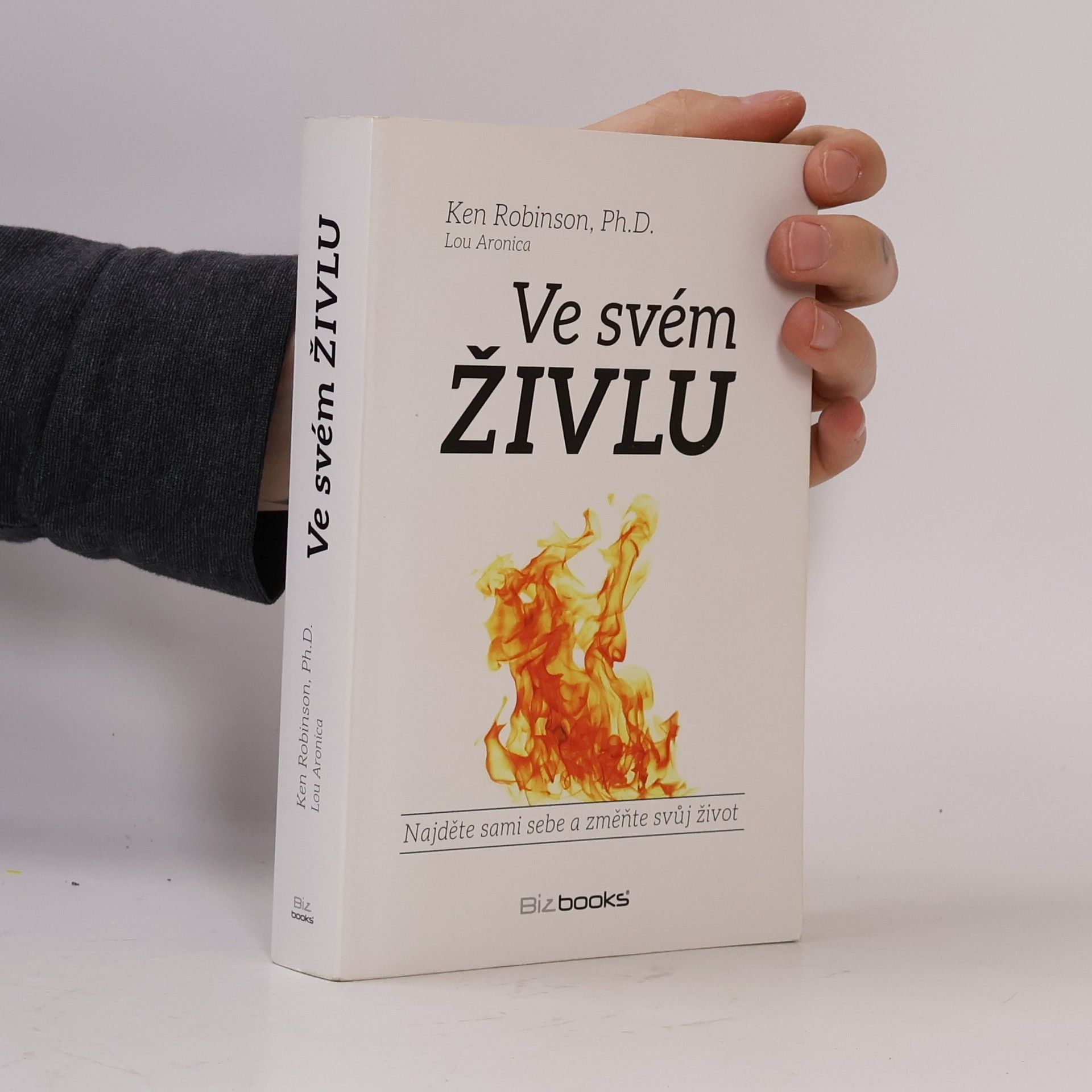 Ken Robinson Ve svém živlu. Najděte sami sebe a změňte svůj život