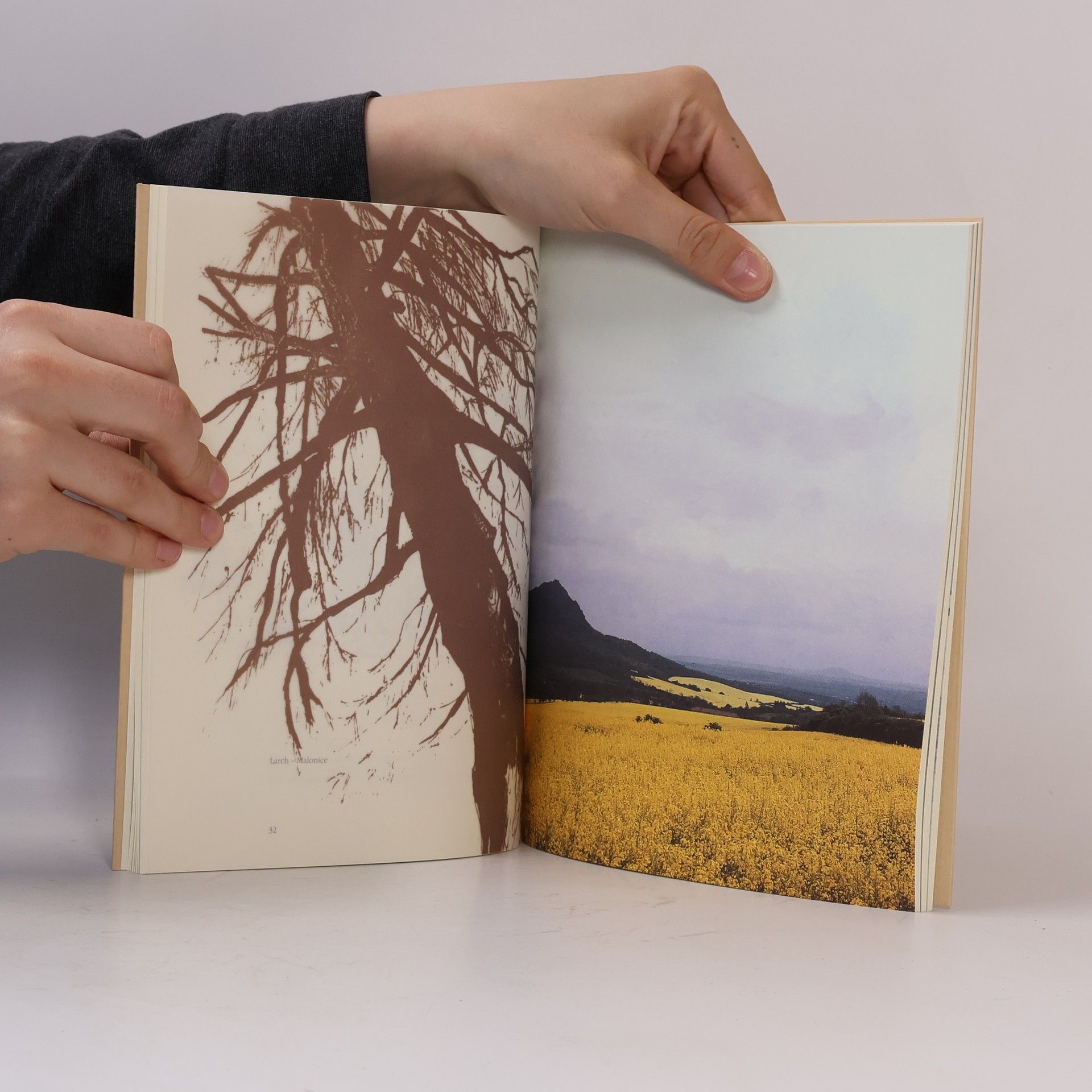 Jaroslav Turek What trees remember