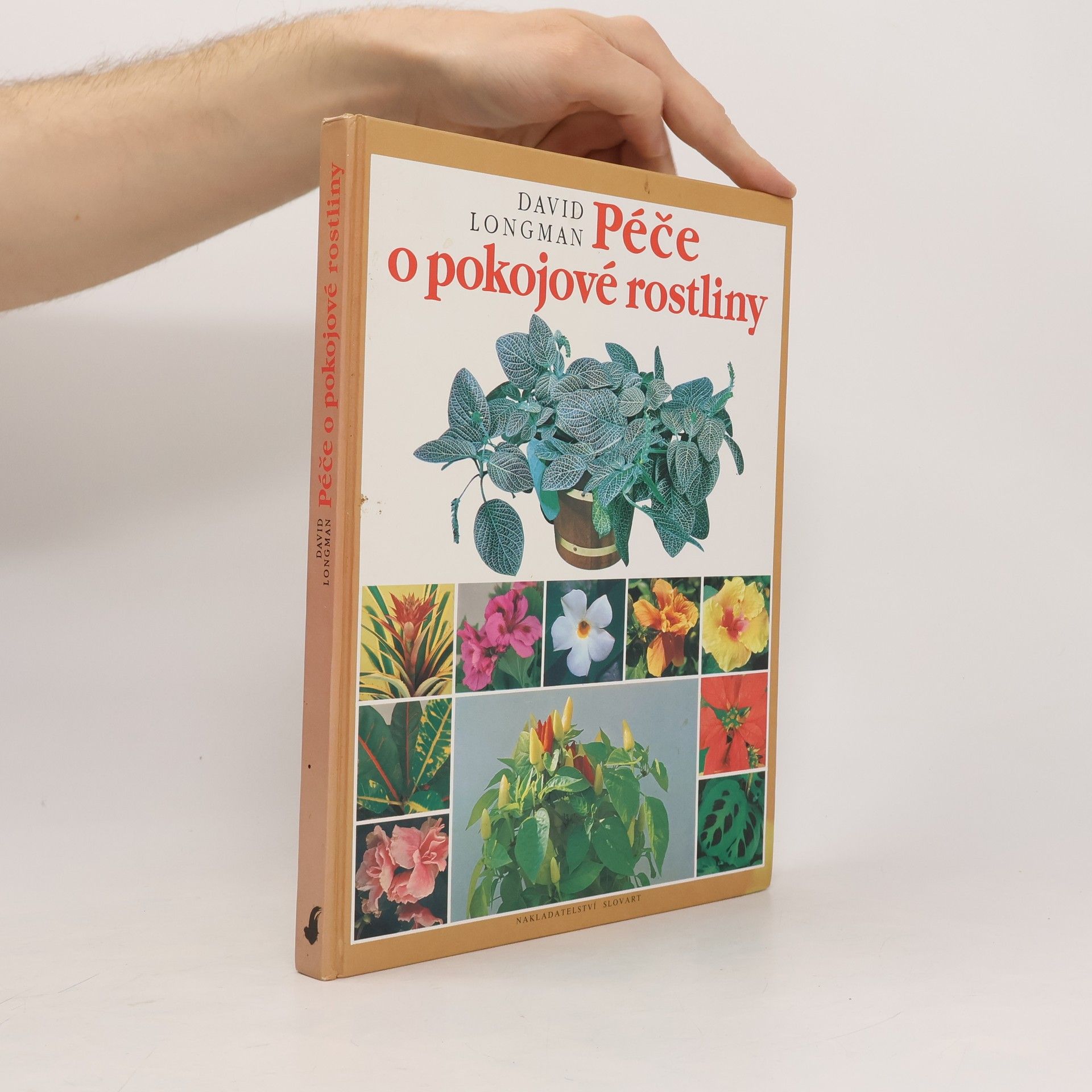 Péče o pokojové rostliny