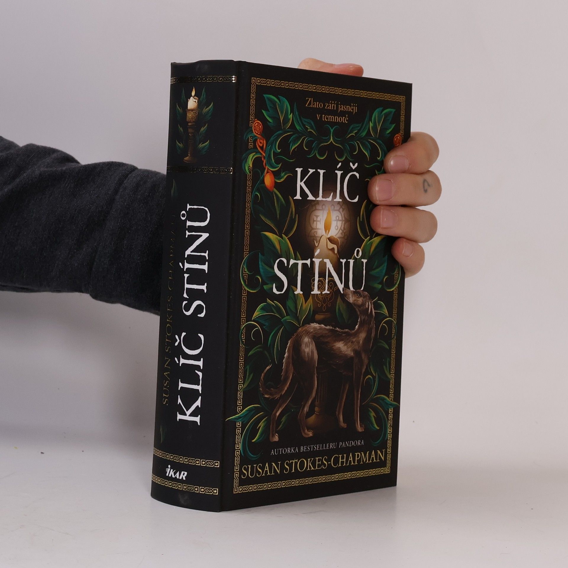 Susan Stokes Chapman Klíč stínů
