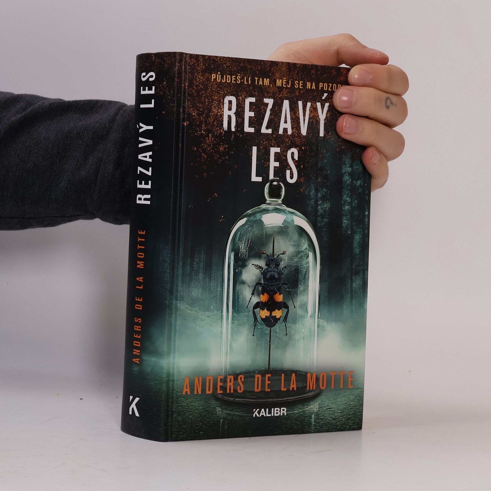 Rezavý les