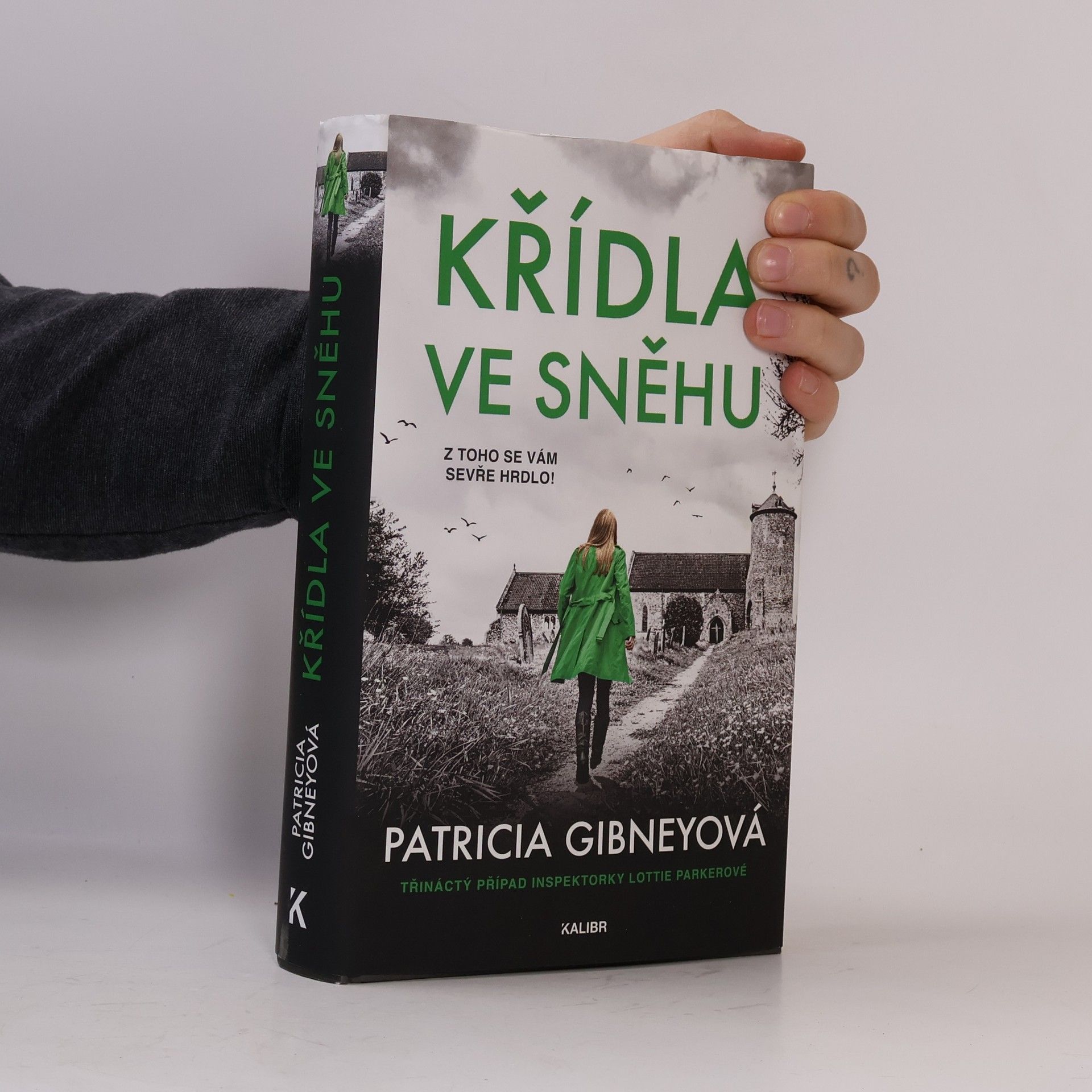 Patricia Gibney Křídla ve sněhu