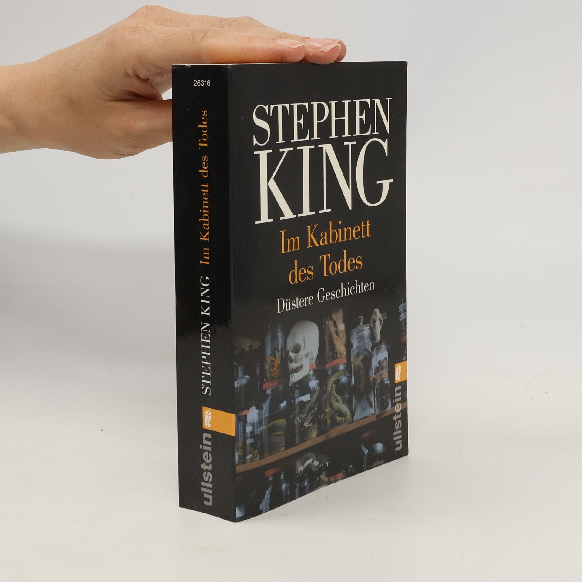 Stephen King Im Kabinett des Todes