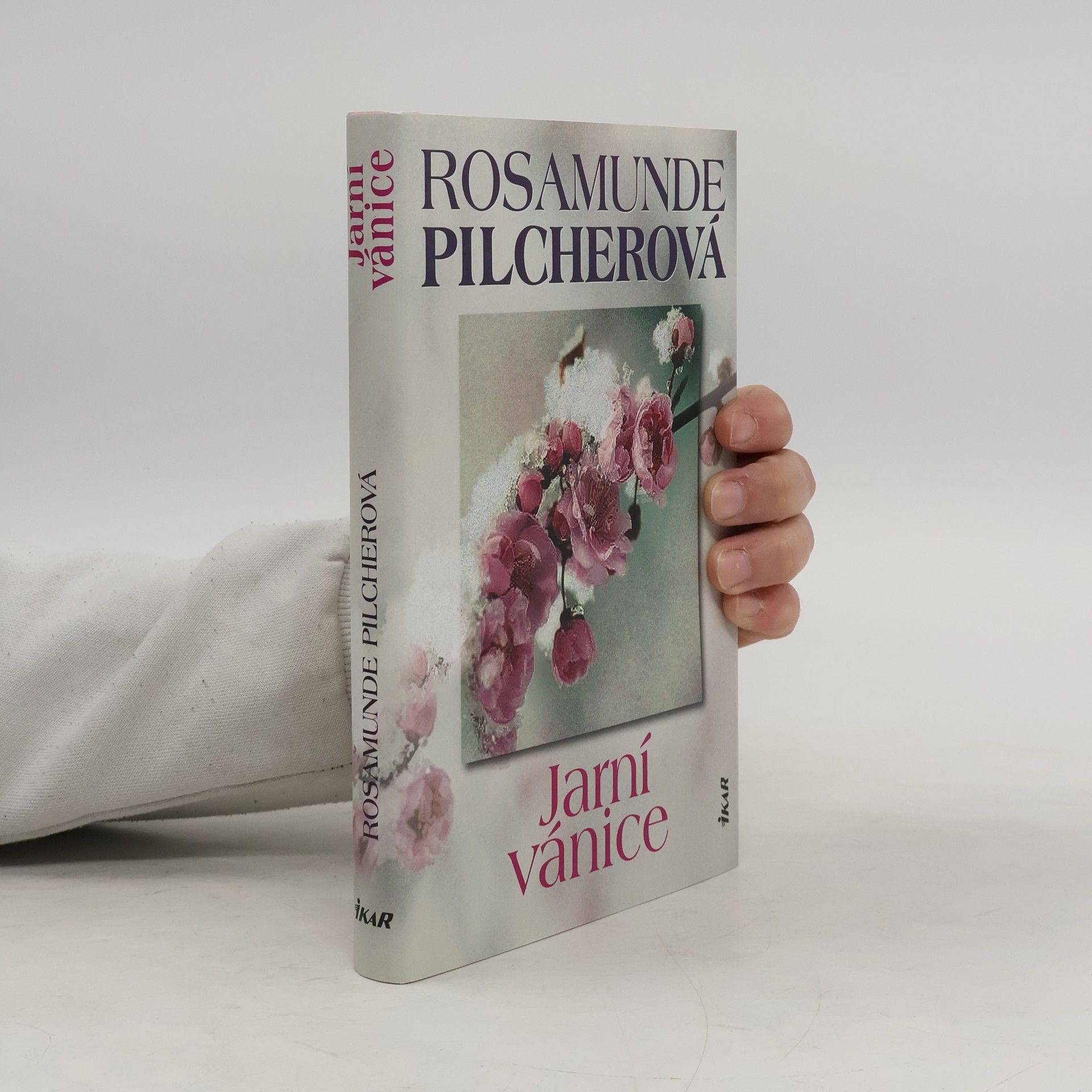 Rosamunde Pilcher Jarní vánice