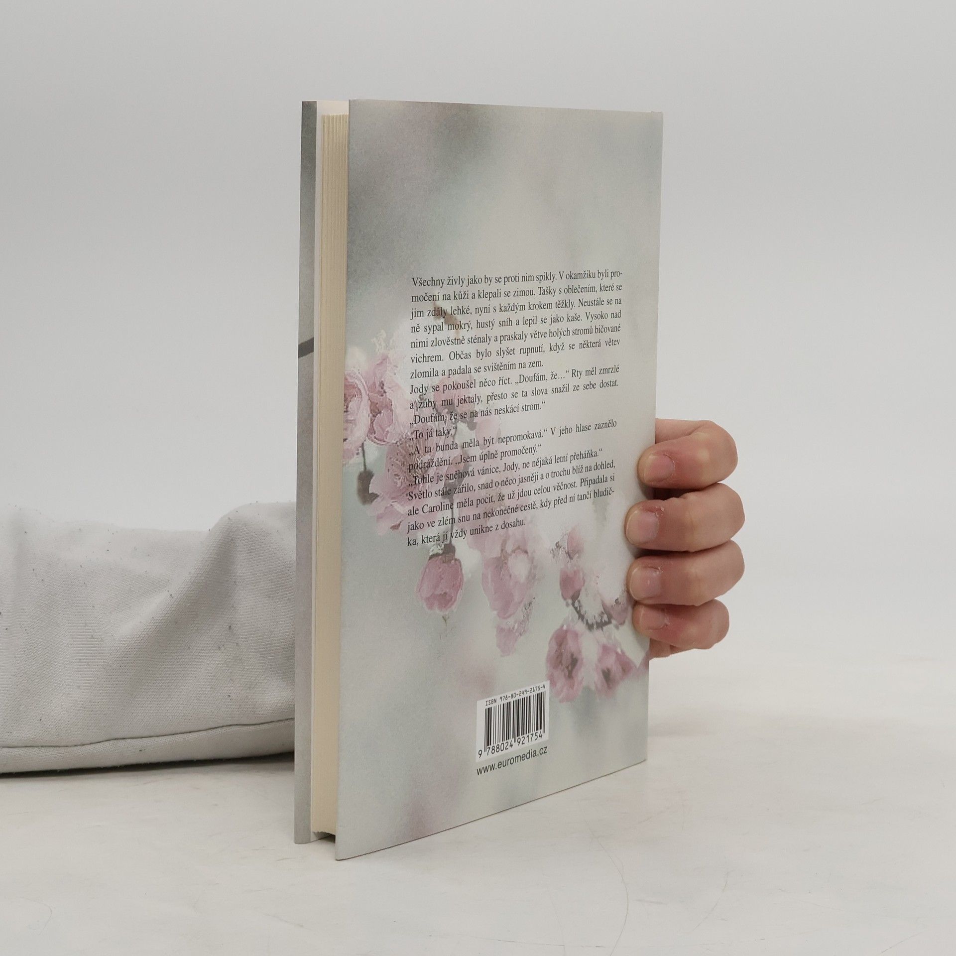 Rosamunde Pilcher Jarní vánice