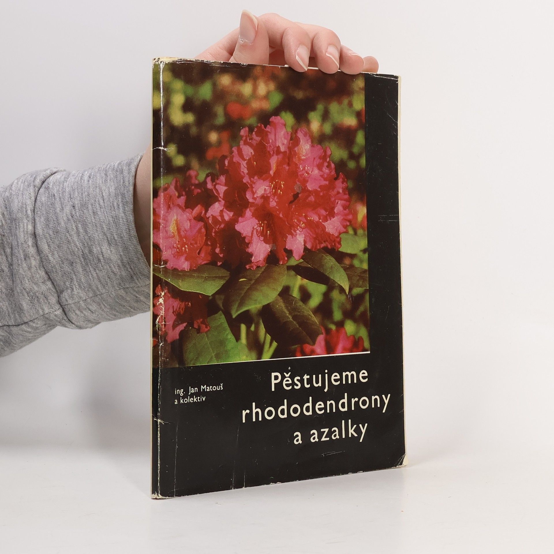 Jan Matouš Pěstujeme rhododendrony a azalky