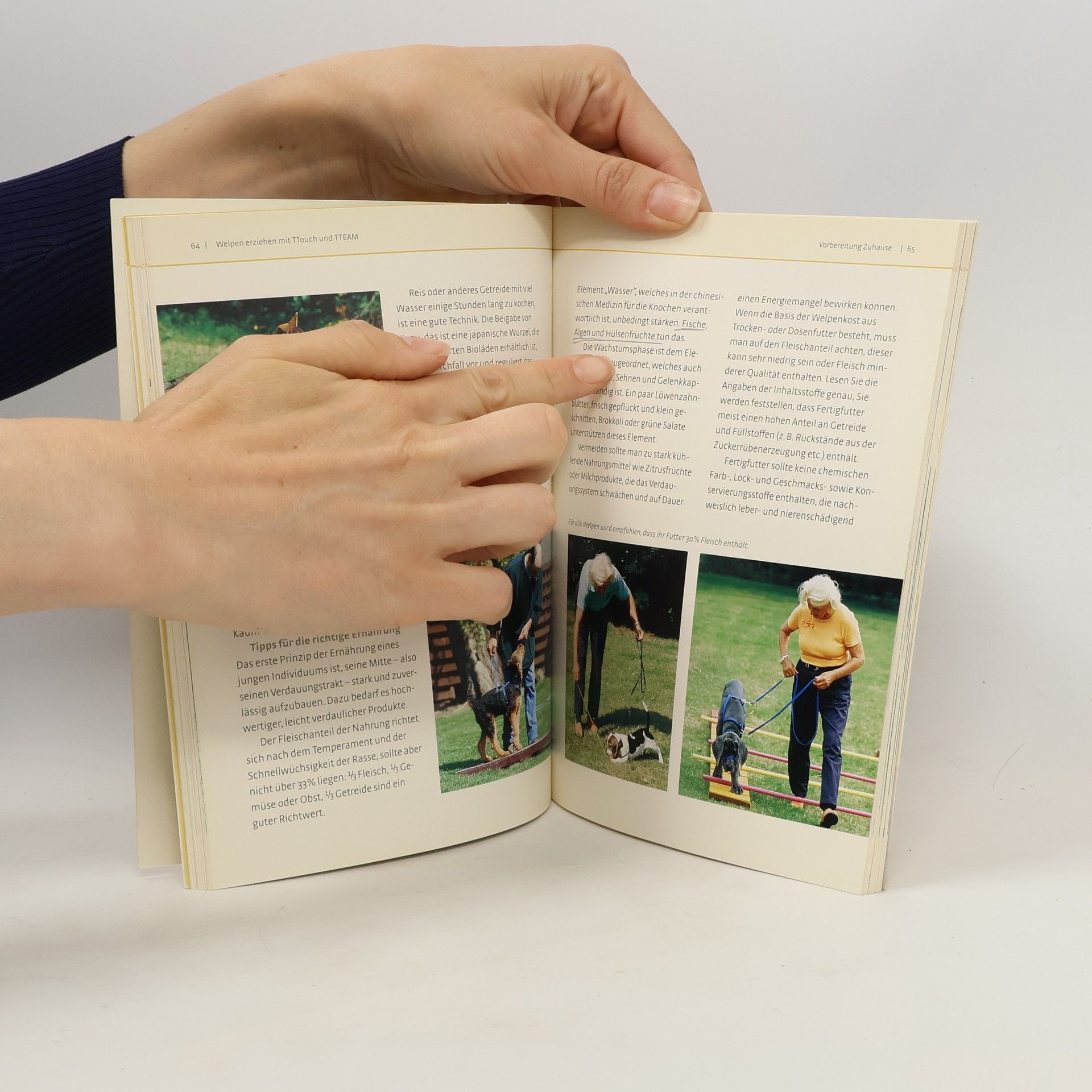 Linda Jones Welpenschule mit Linda Tellington-Jones