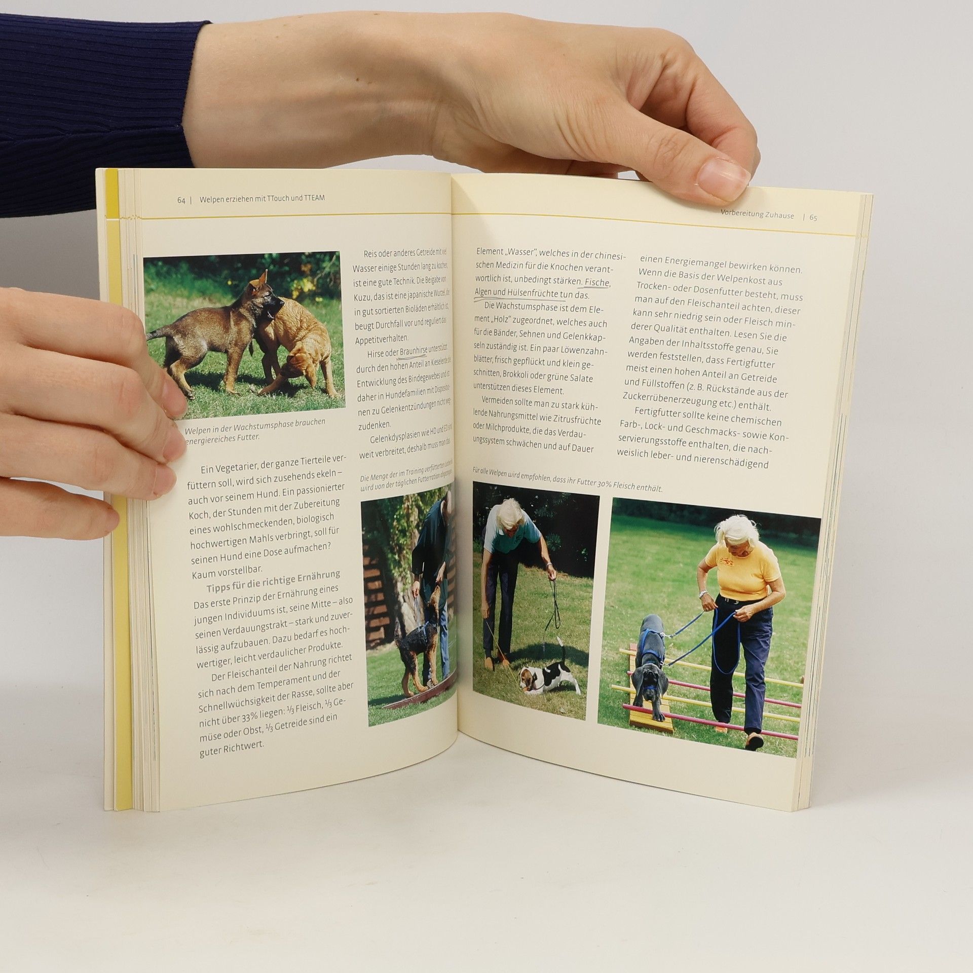 Linda Jones Welpenschule mit Linda Tellington-Jones