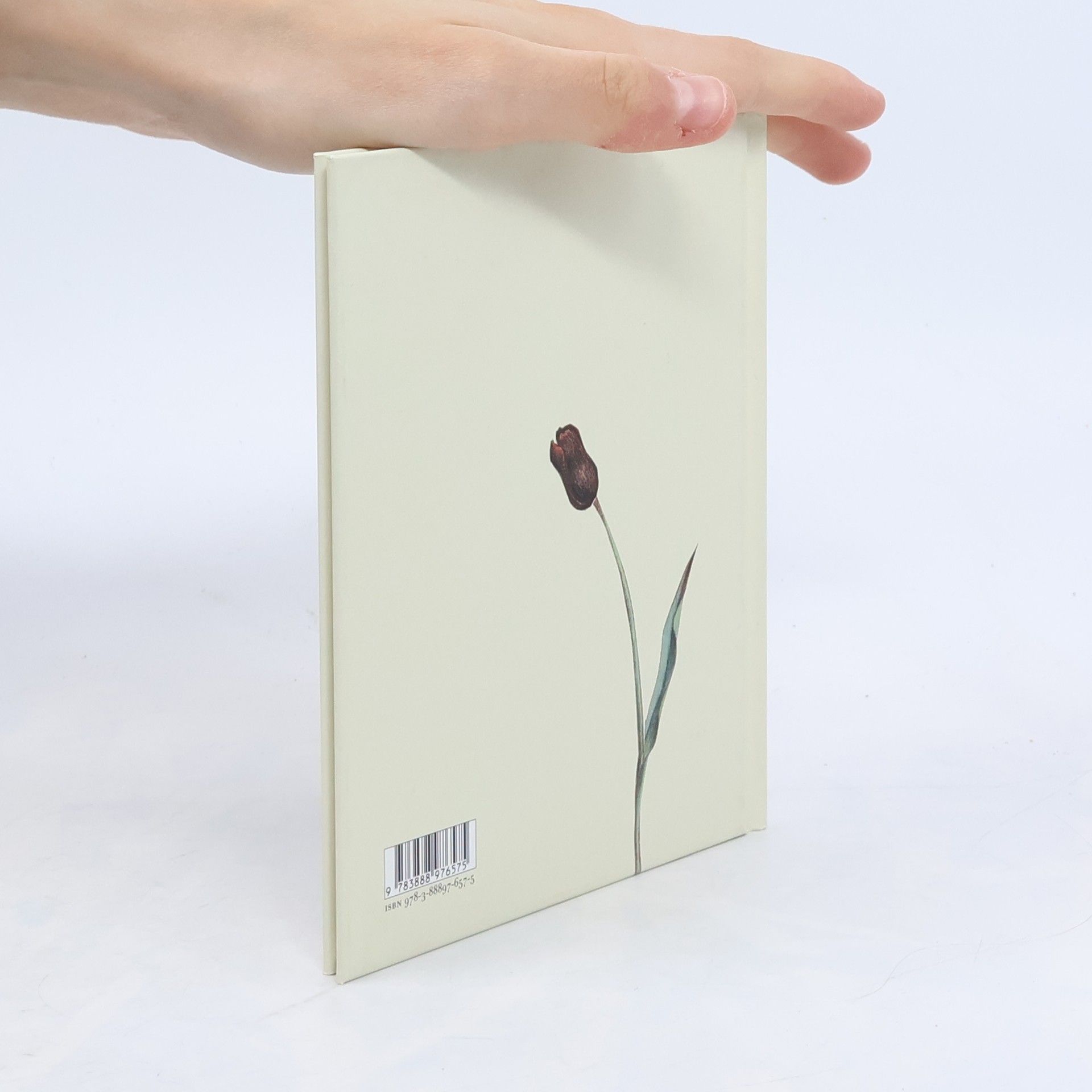 Wolf Erlbruch Ente, Tod und Tulpe, kleine Ausgabe