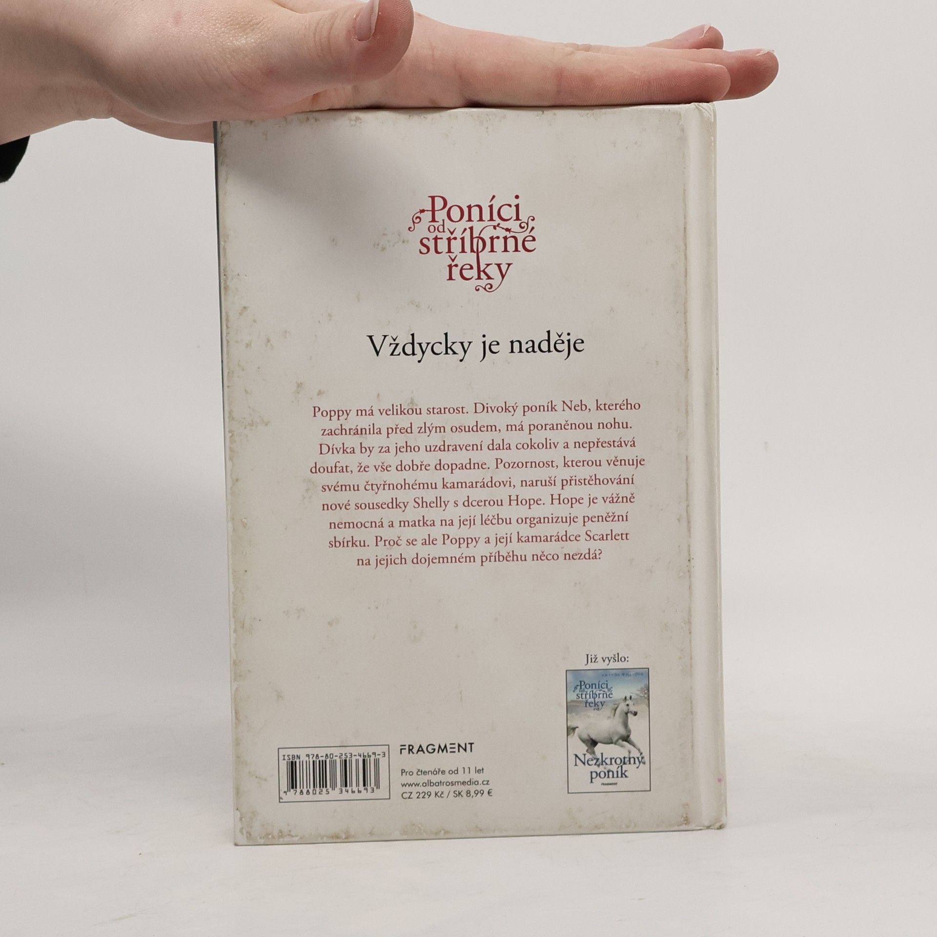 Amanda Wills Vždycky je naděje