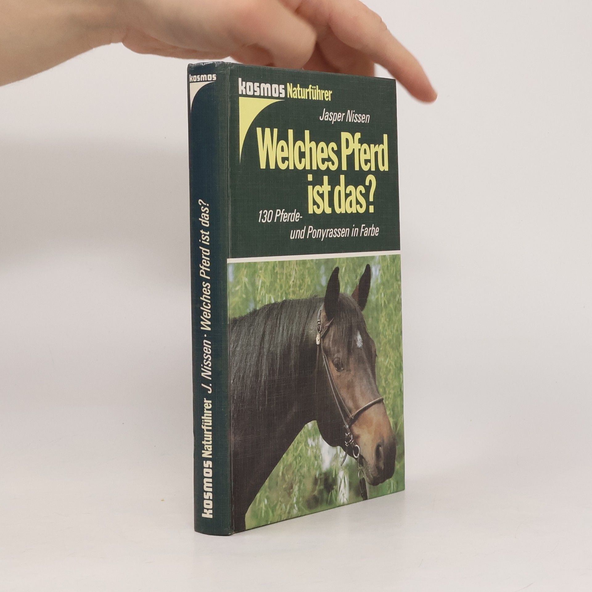 Welches Pferd ist das?