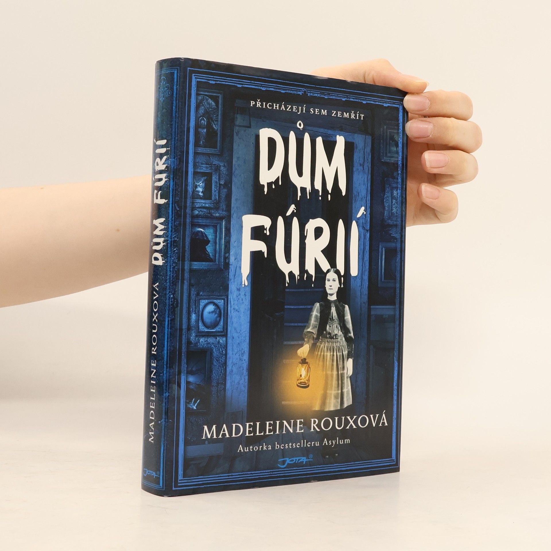 Madeleine Roux Dům fúrií