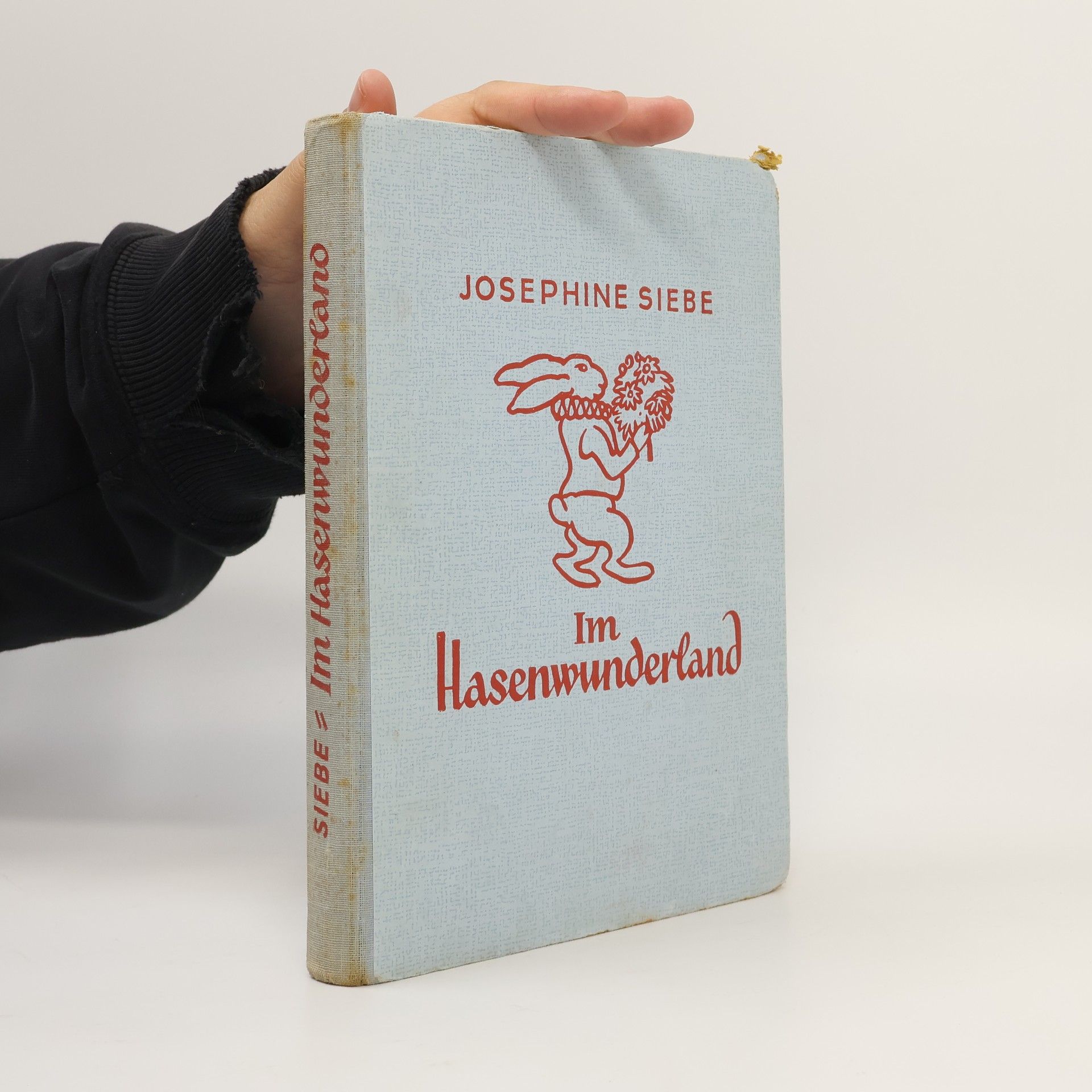 Josephine Siebe Im Hasenwunderland