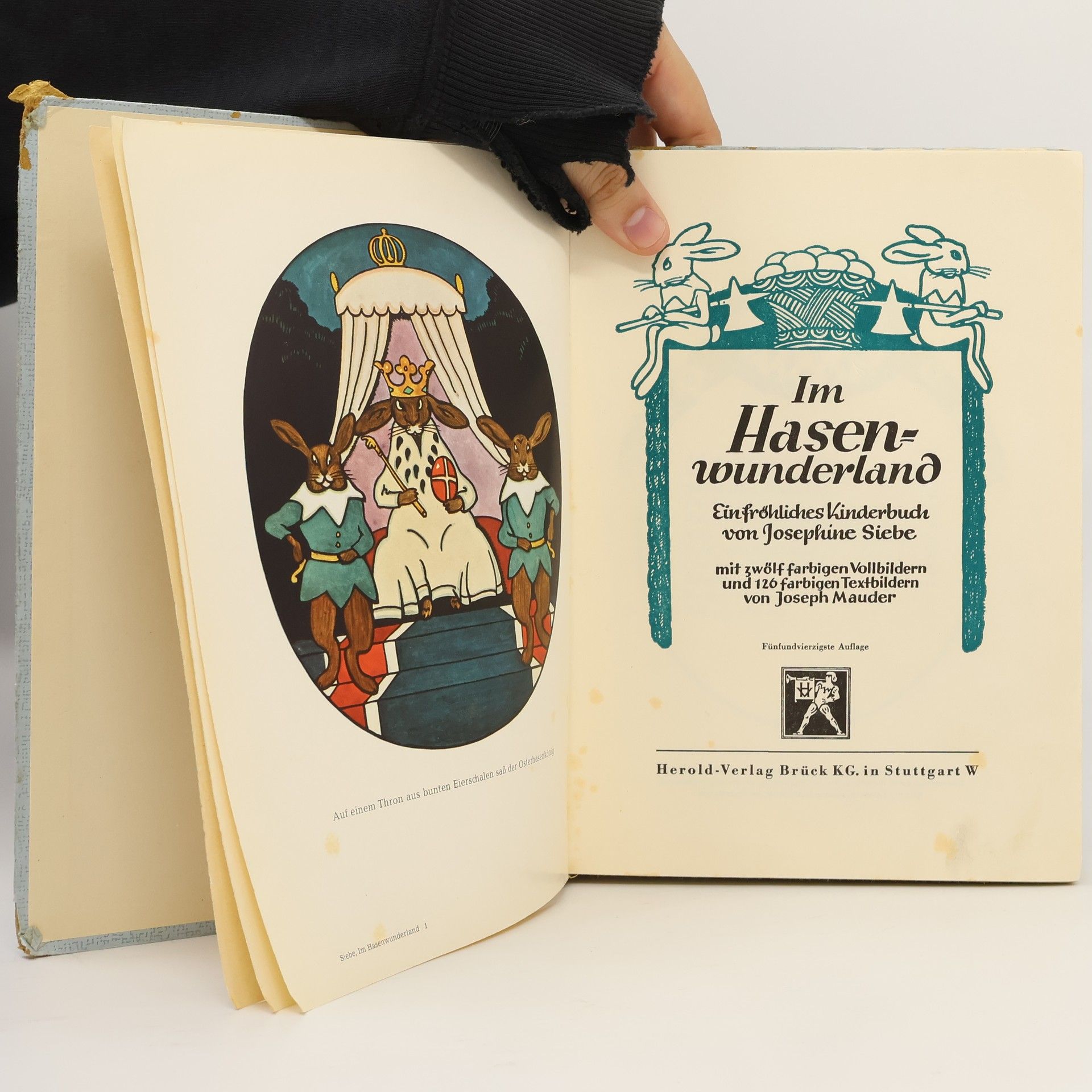 Josephine Siebe Im Hasenwunderland