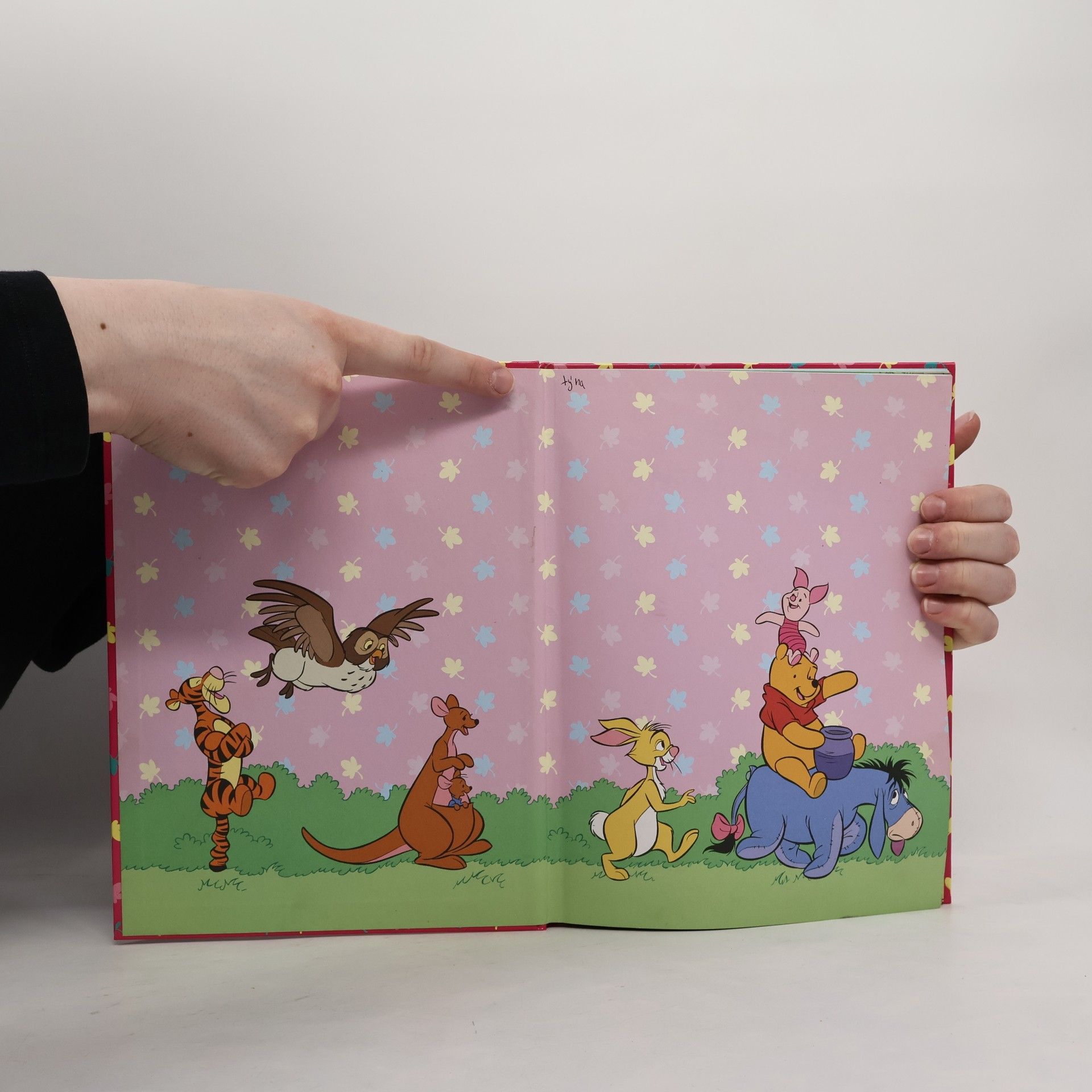 A. A. Milne Medvídek Pú. Není dopis jako dopis