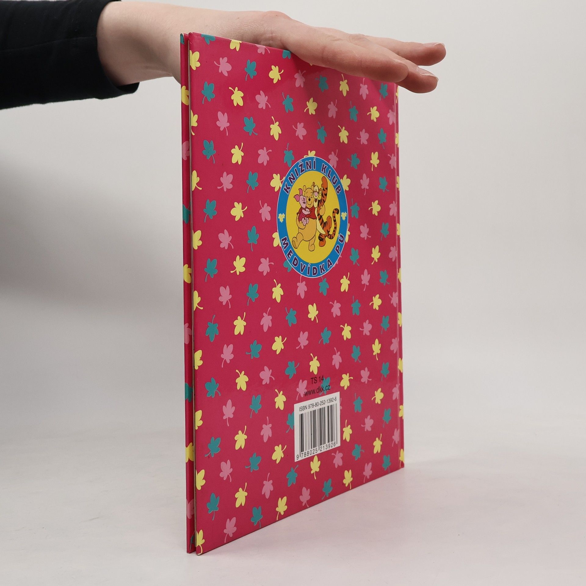 A. A. Milne Medvídek Pú. Není dopis jako dopis