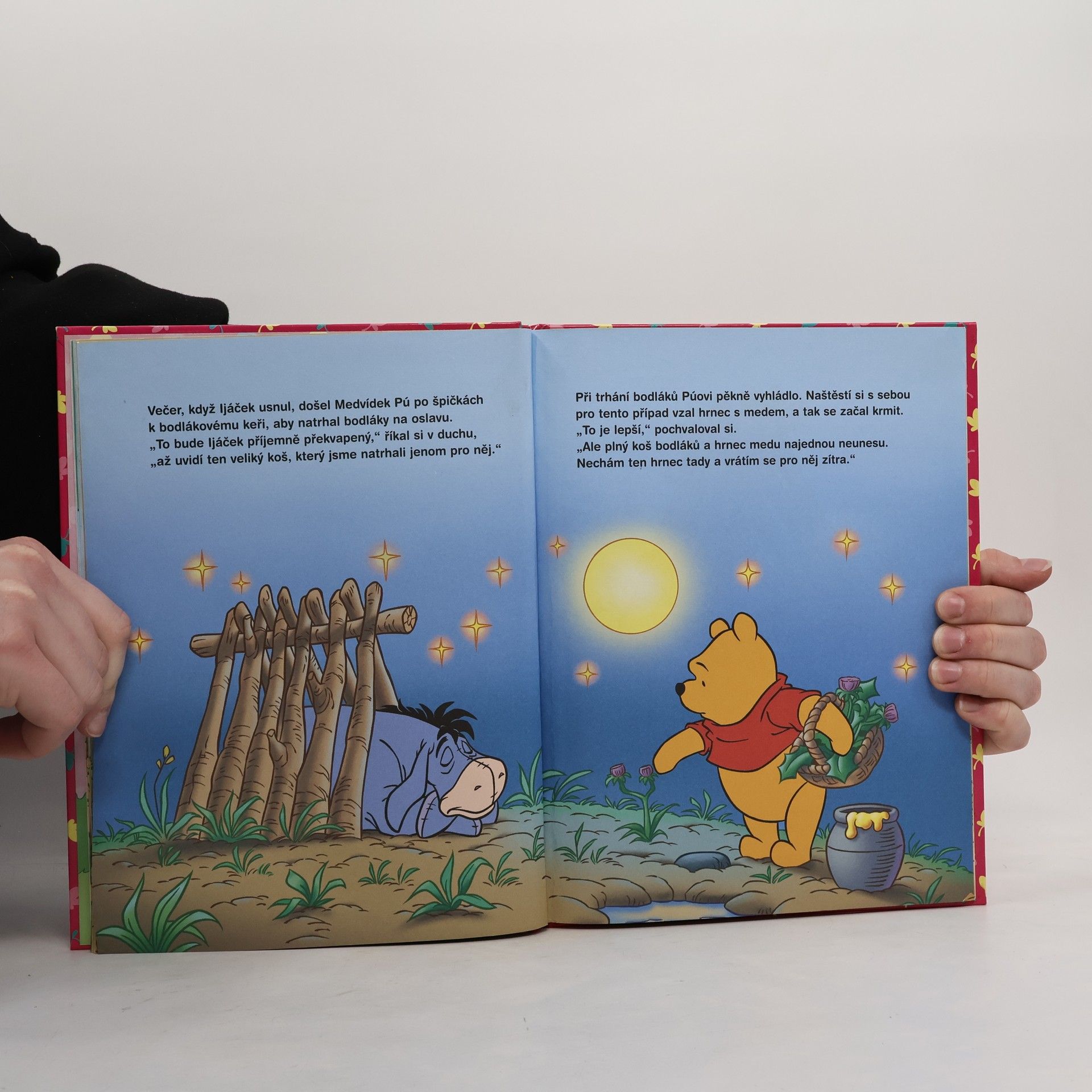 A. A. Milne Medvídek Pú. Není dopis jako dopis