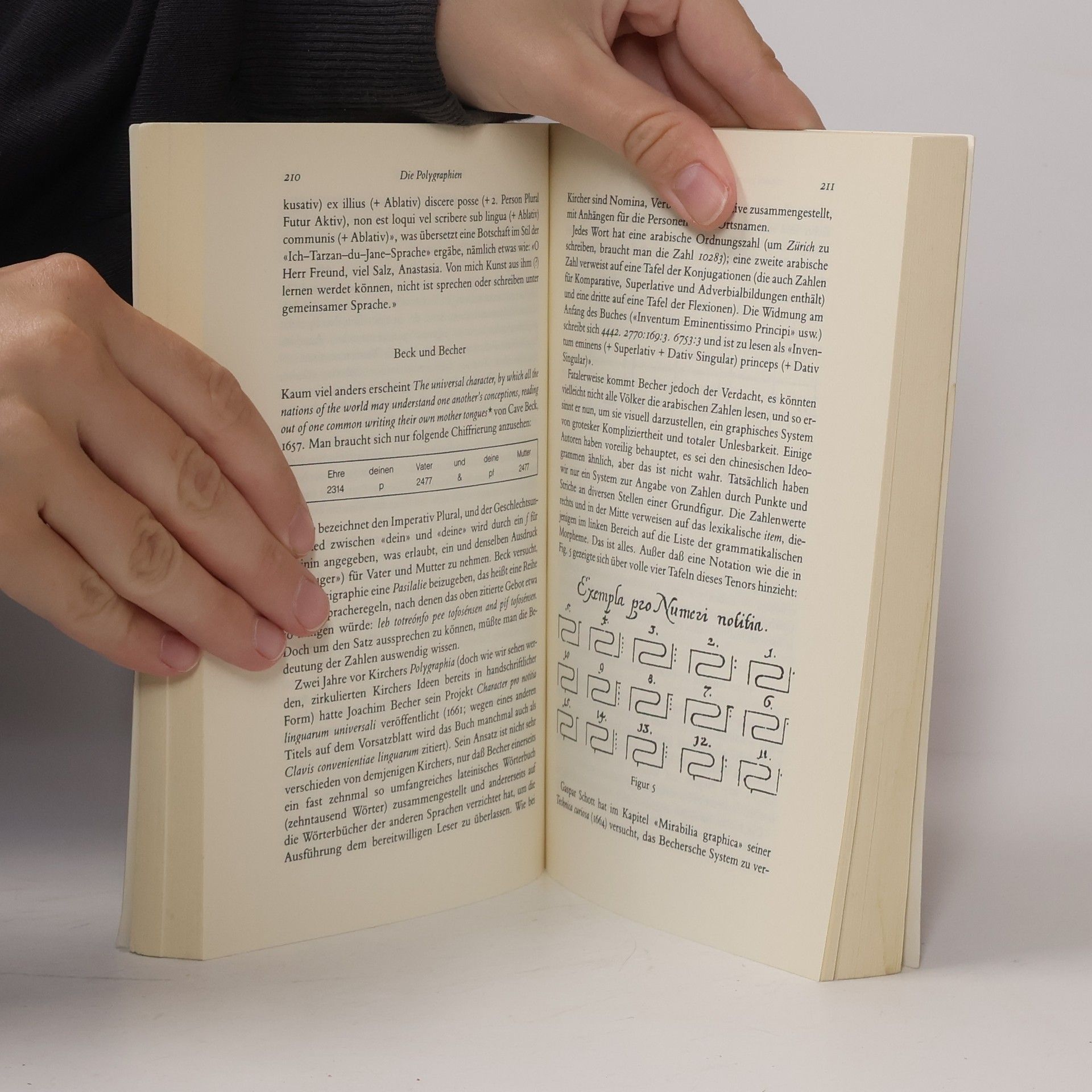 Umberto Eco Die Suche nach der vollkommenen Sprache