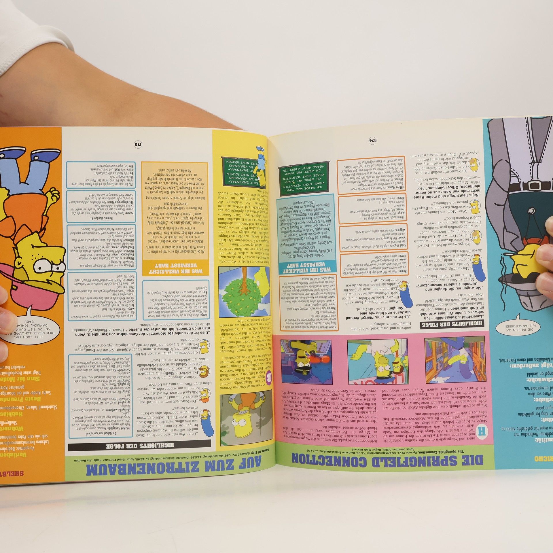Matt Groening Die Simpsons