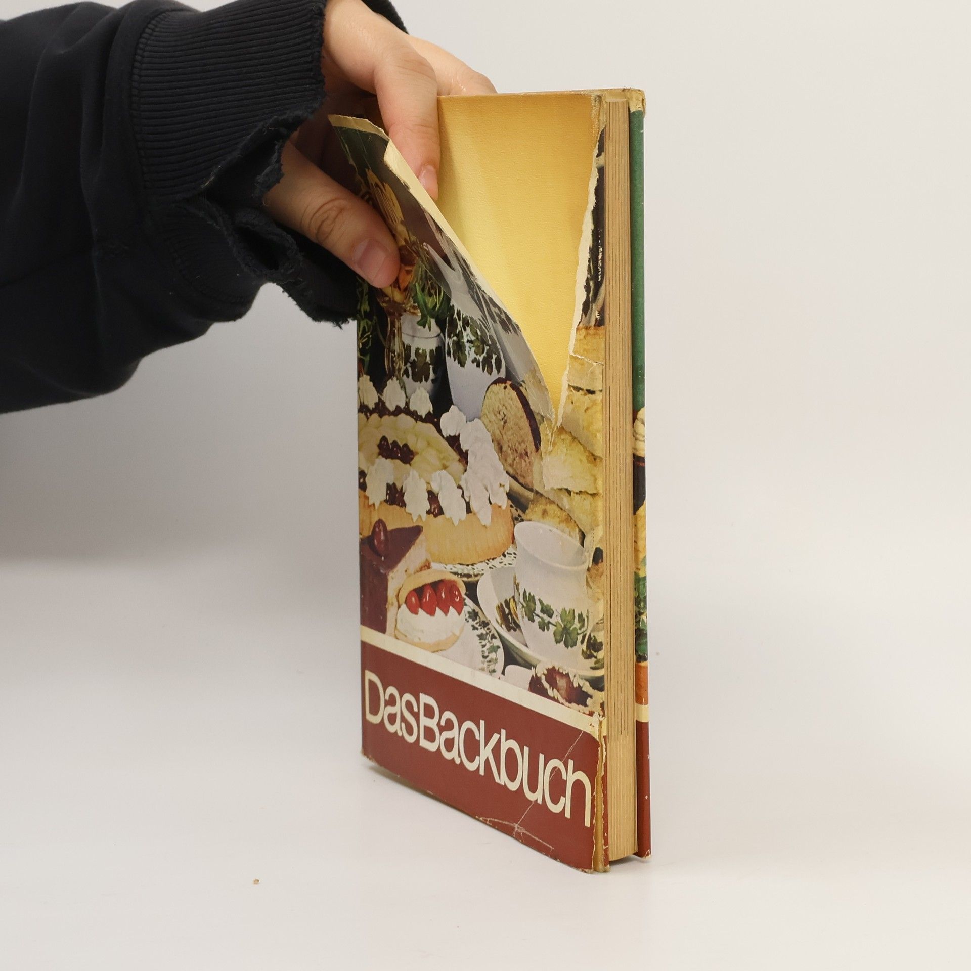 Autorenkollektiv Das Backbuch