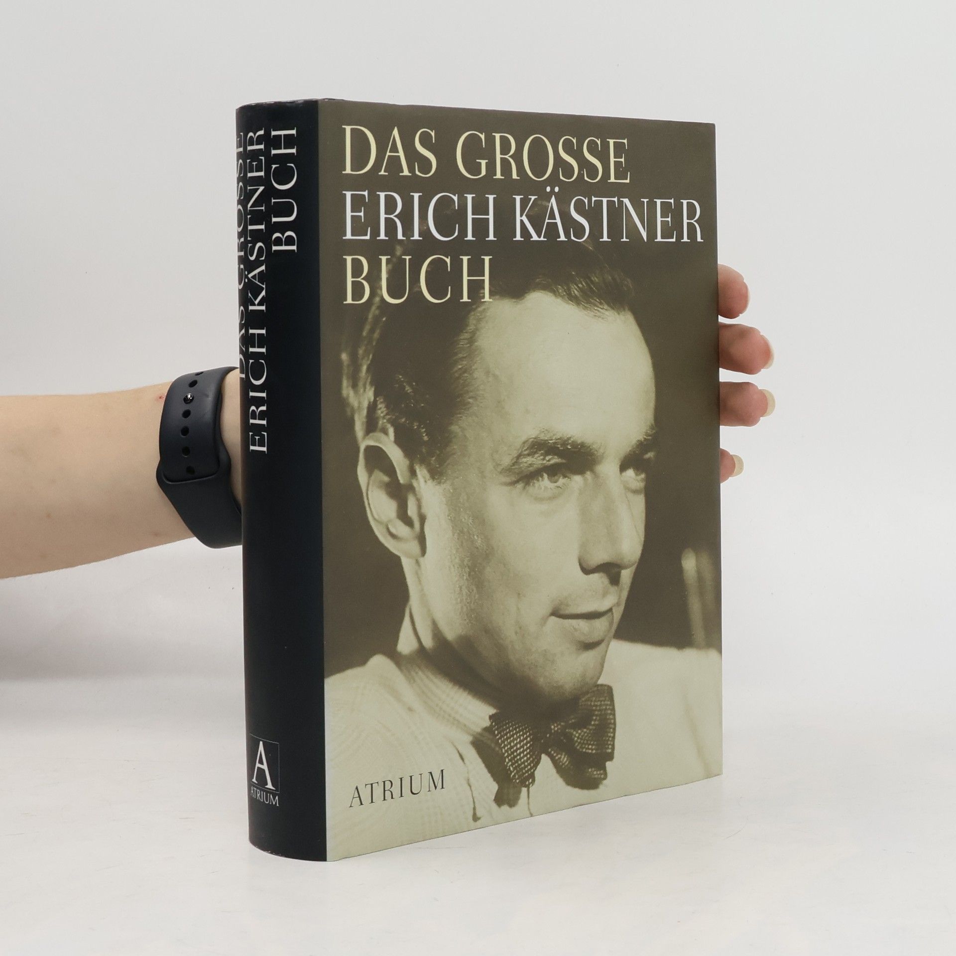 Erich Kästner Das große Erich-Kästner-Buch