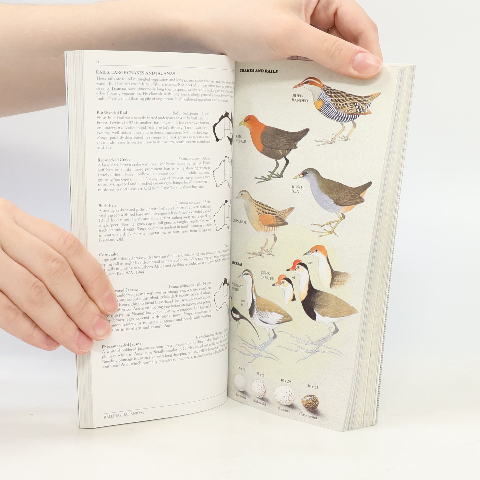 Peter Slater The Slater Field Guide to Australian Birds