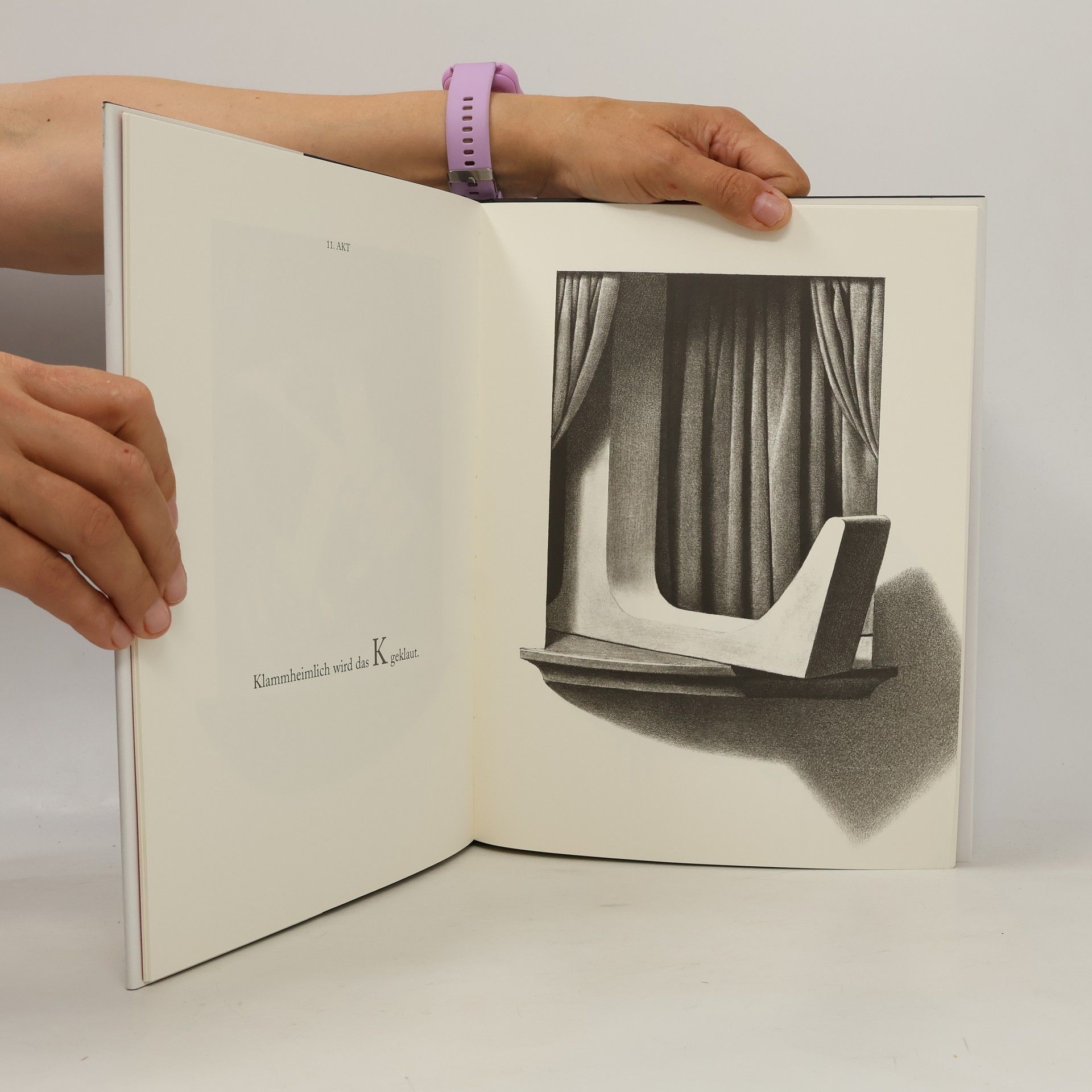 Chris Van Allsburg Das Z zerplatzt