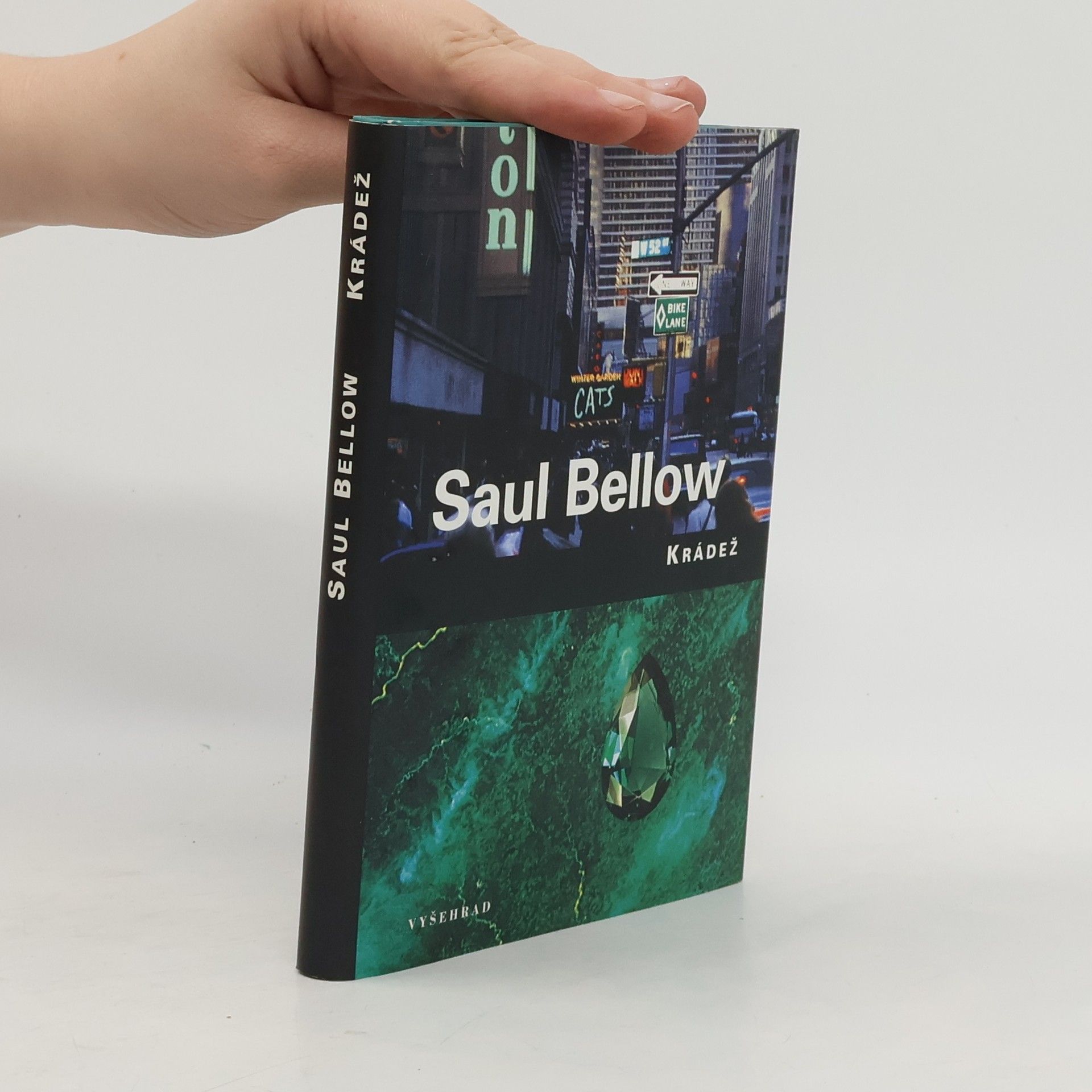 Saul Bellow Krádež
