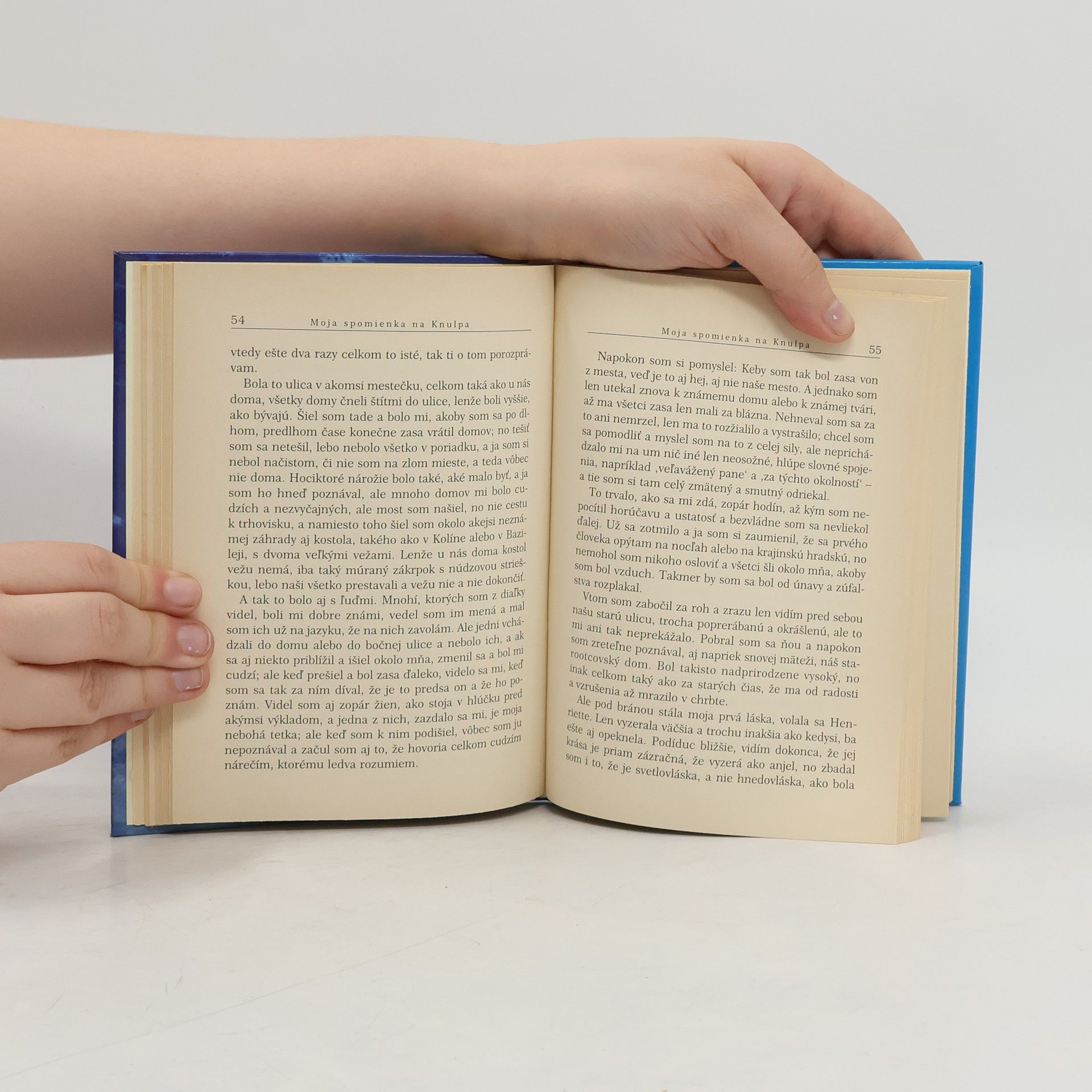 Hermann Hesse Knulp: Tri príbehy z Knulpovho života