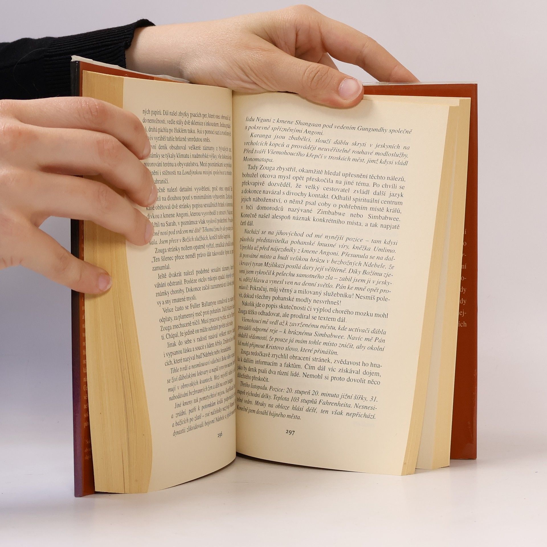 Wilbur Smith Říše kamenného sokola