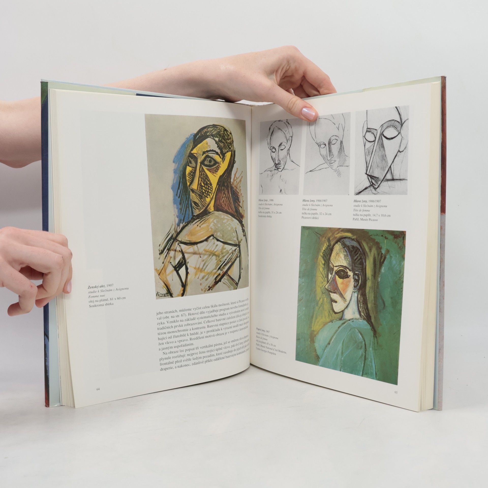 Carsten-Peter Warncke Pablo Picasso