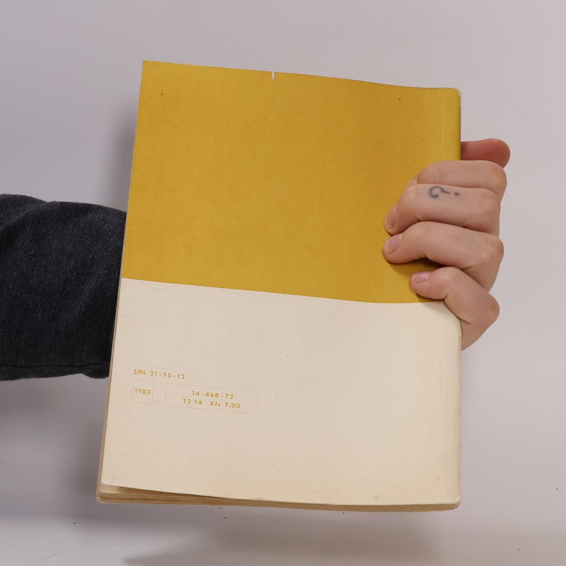 Vítězslav Tichý Rukověť dějin literatury pro II. ročník středních škol