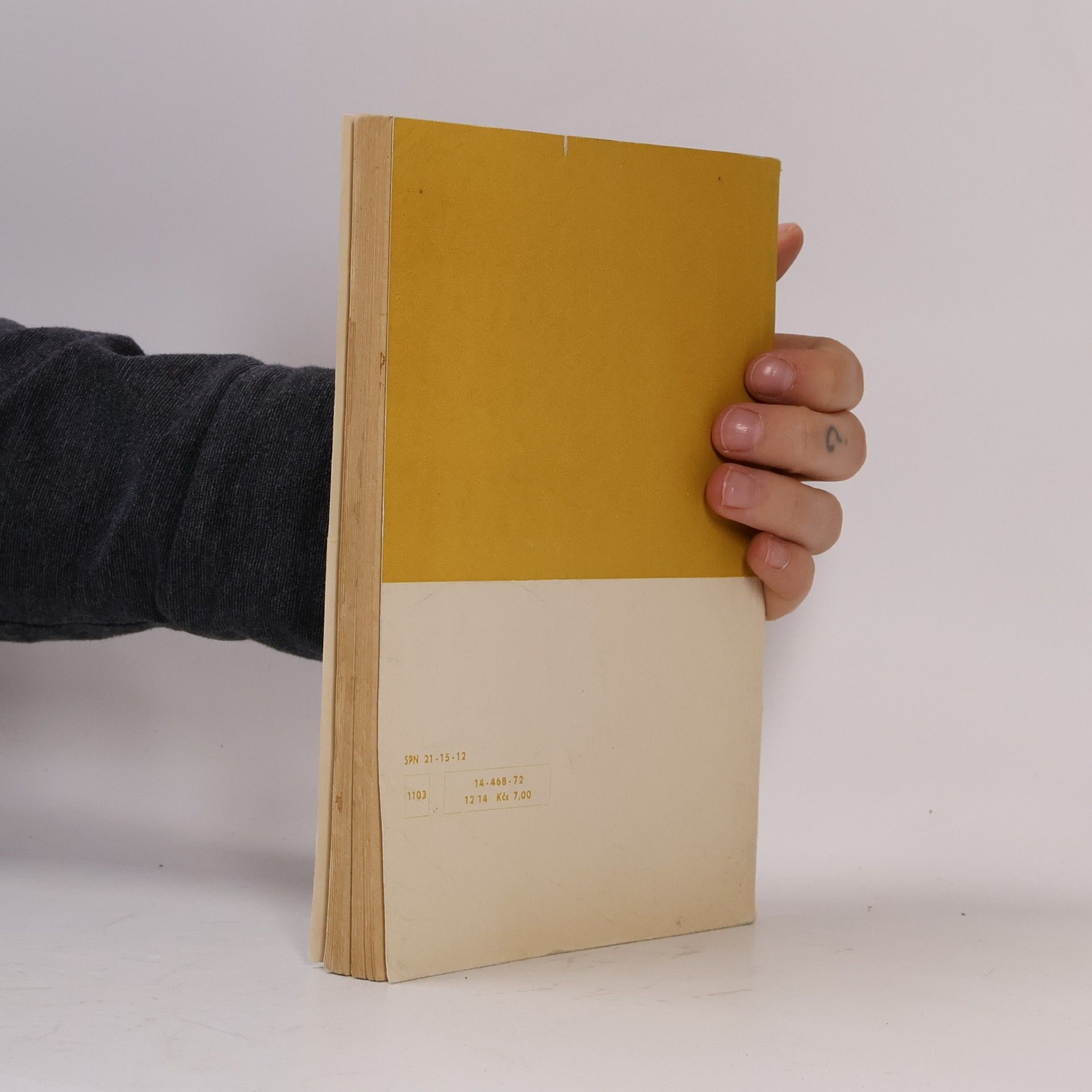 Vítězslav Tichý Rukověť dějin literatury pro II. ročník středních škol