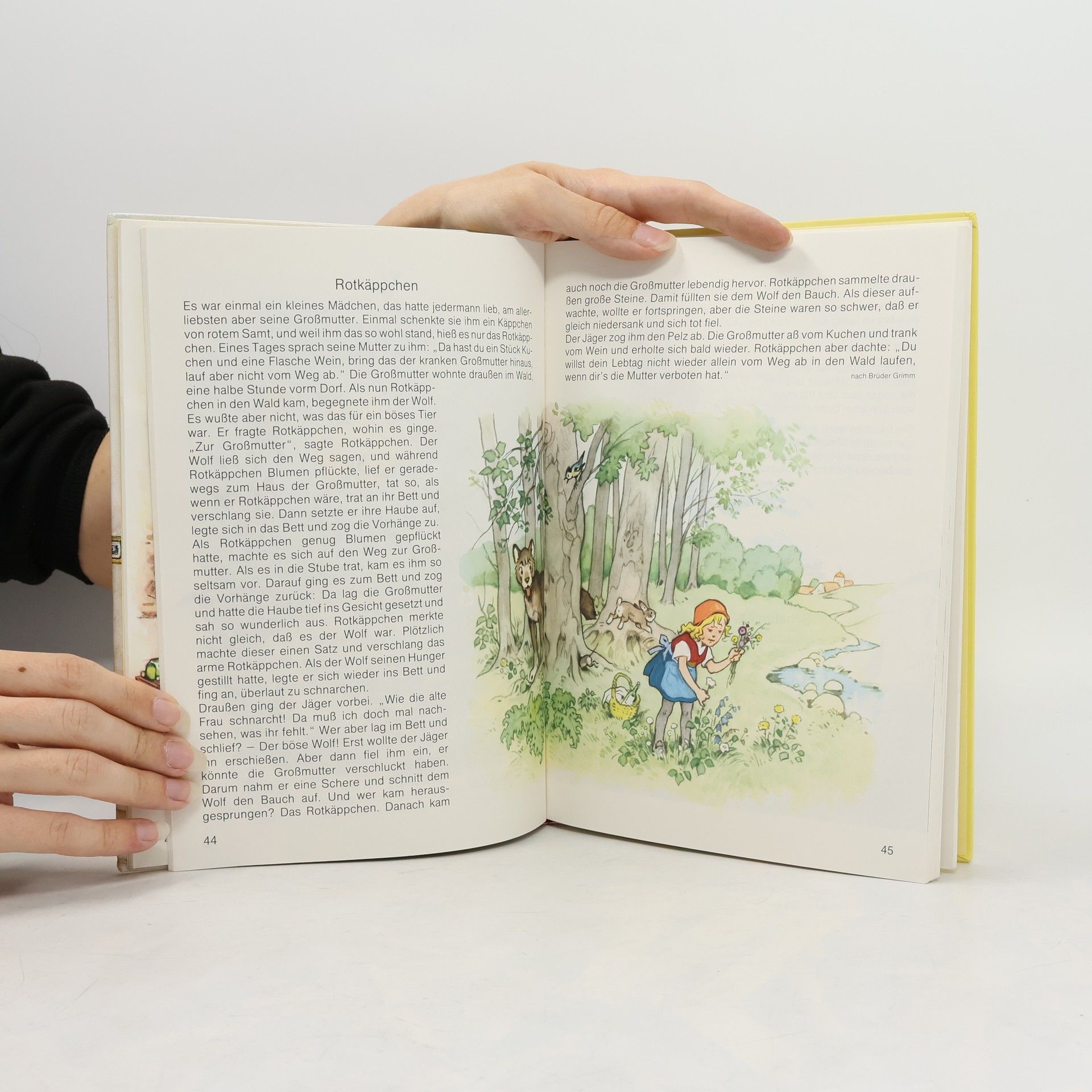 Lore Hummel Mein liebstes Gute-Nacht-Buch