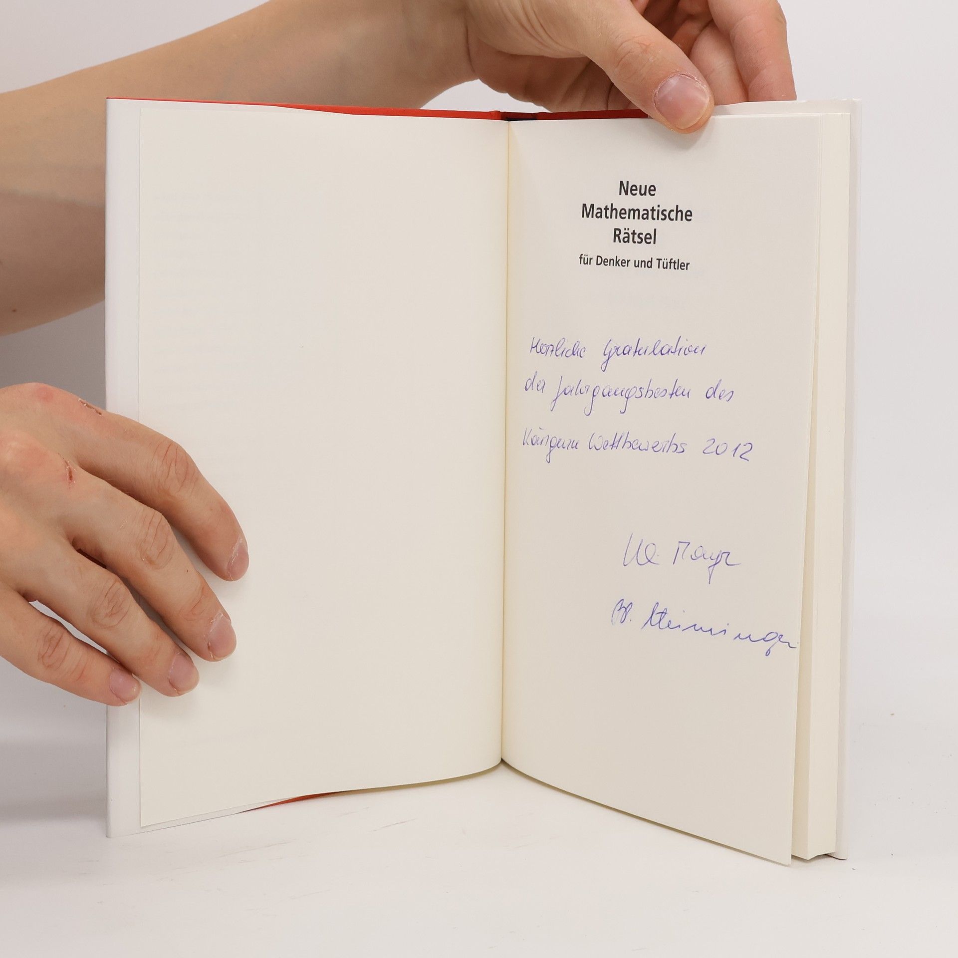 Michael Holt Neue mathematische Rätsel für Denker und Tüftler