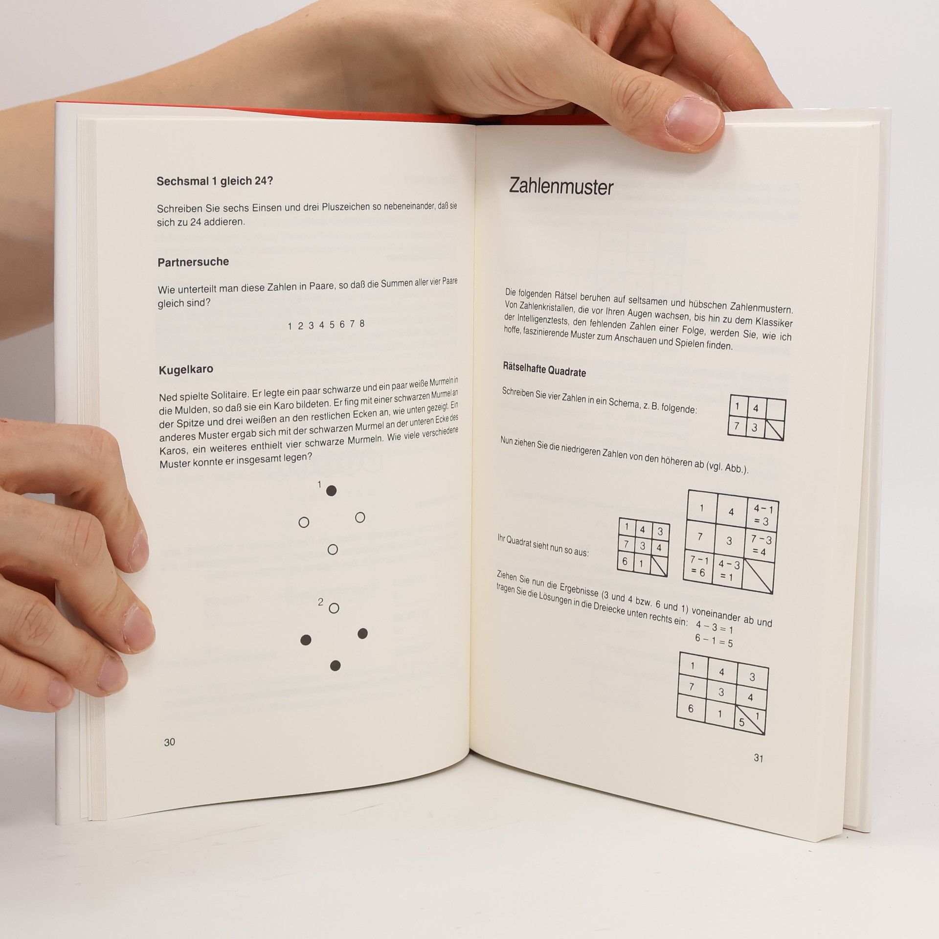 Michael Holt Neue mathematische Rätsel für Denker und Tüftler