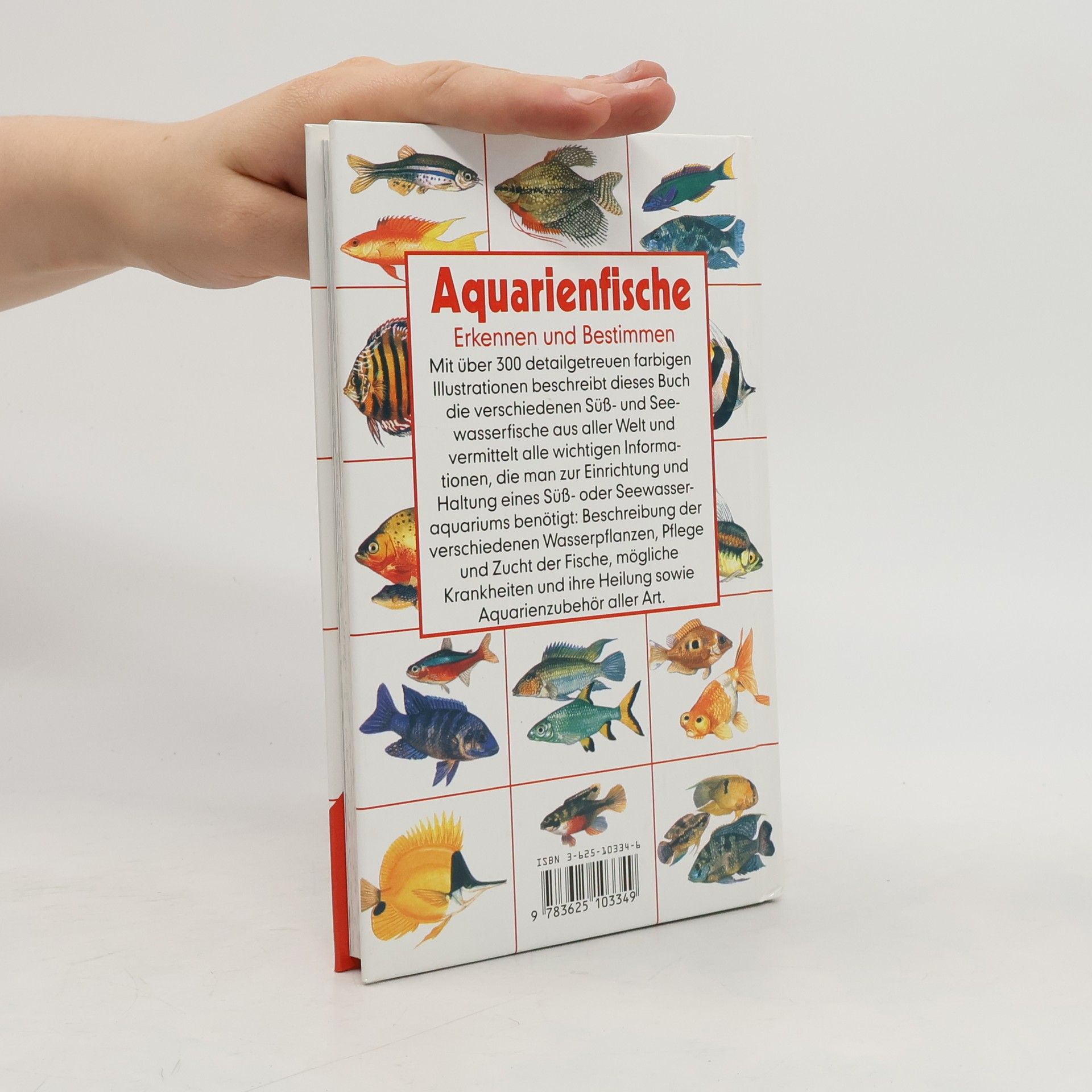 Dick Mills Aquarienfische