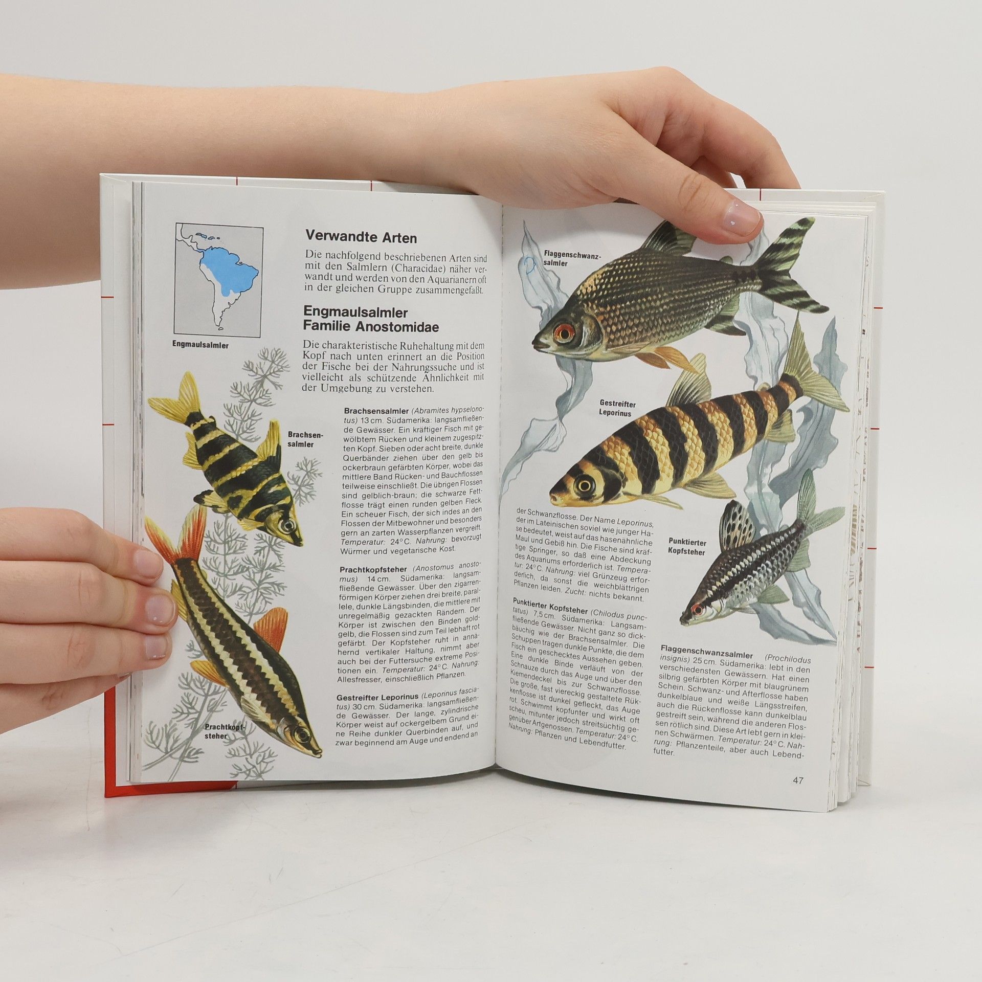 Dick Mills Aquarienfische