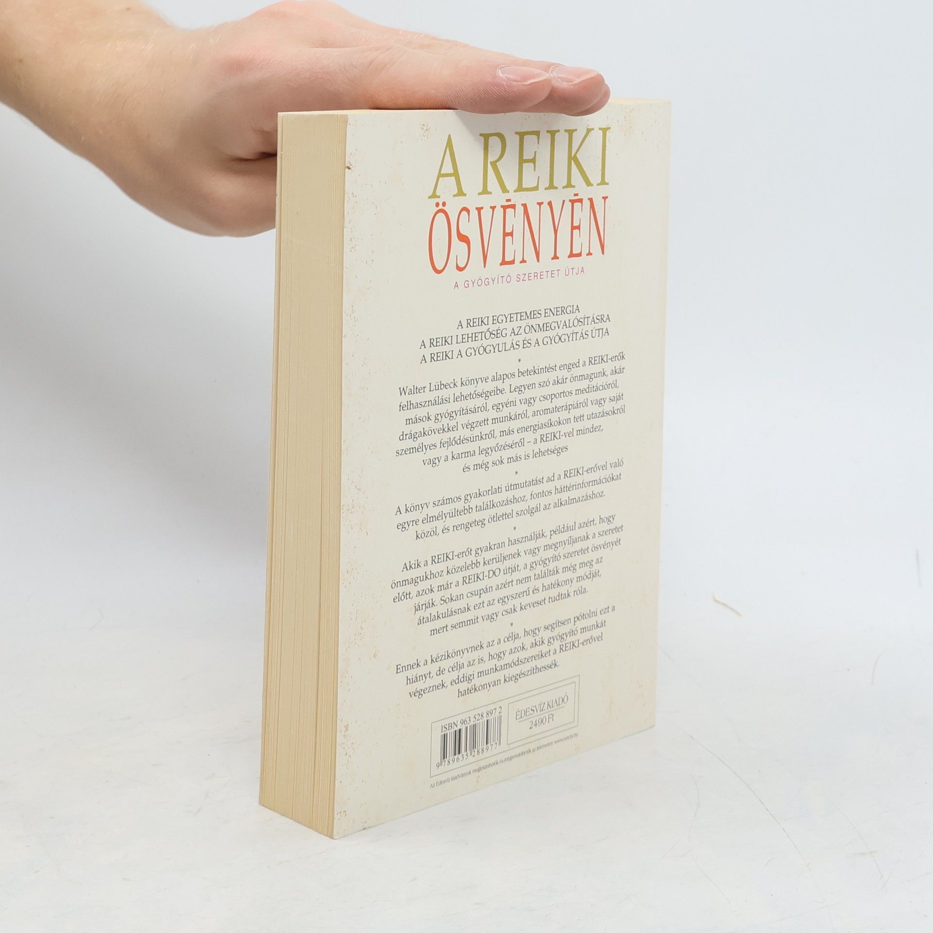 Walter Lübeck A Reiki Ösvényén