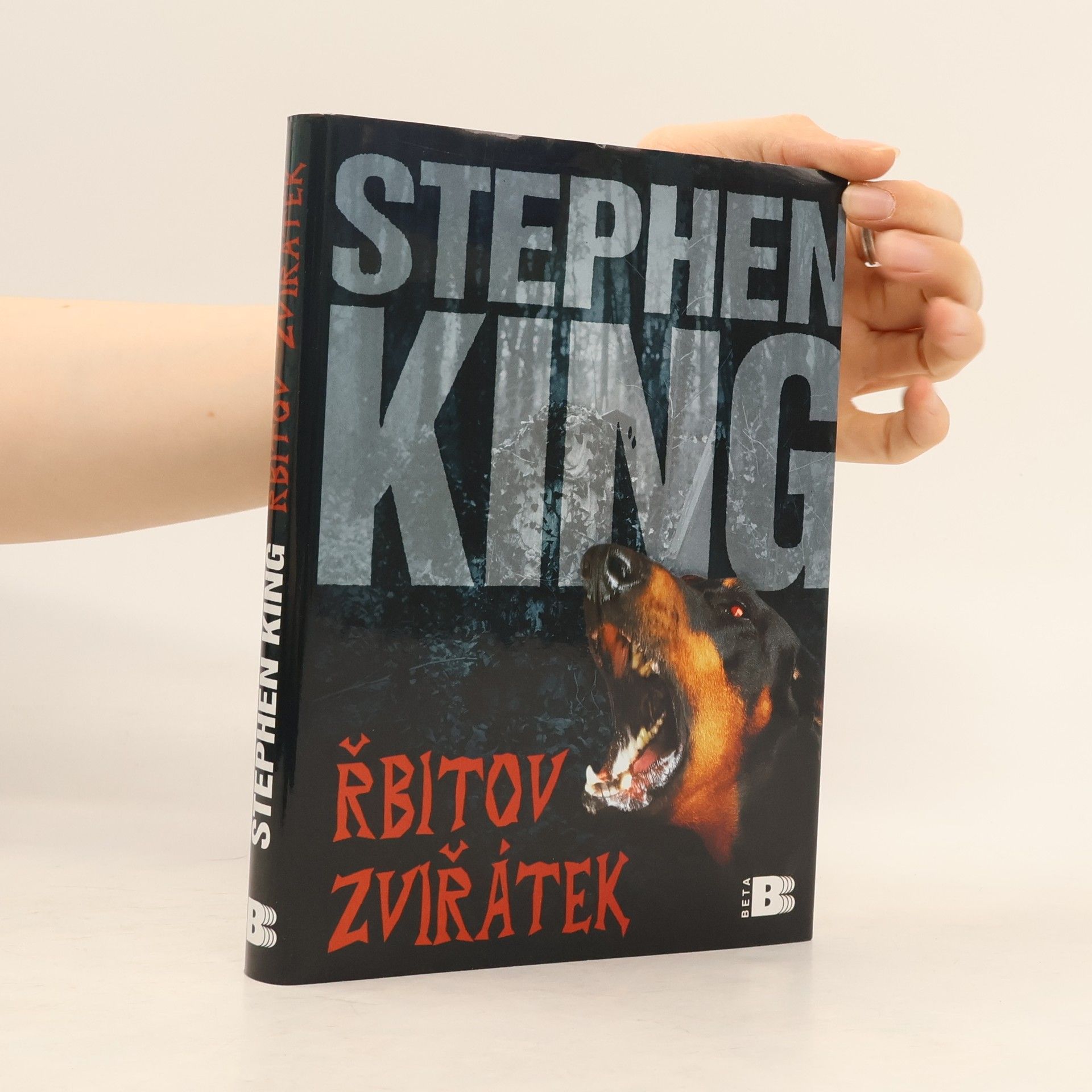 Stephen King Řbitov zviřátek