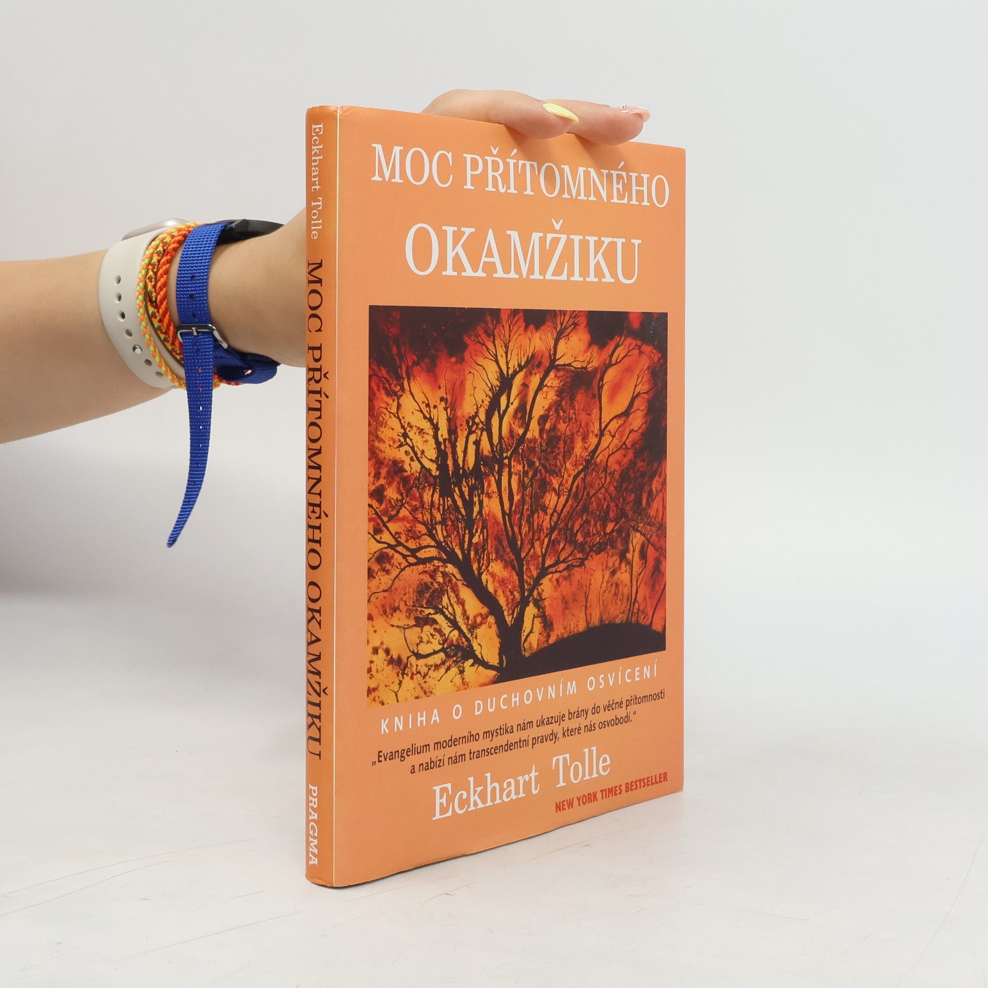 Eckhart Tolle Moc přítomného okamžiku