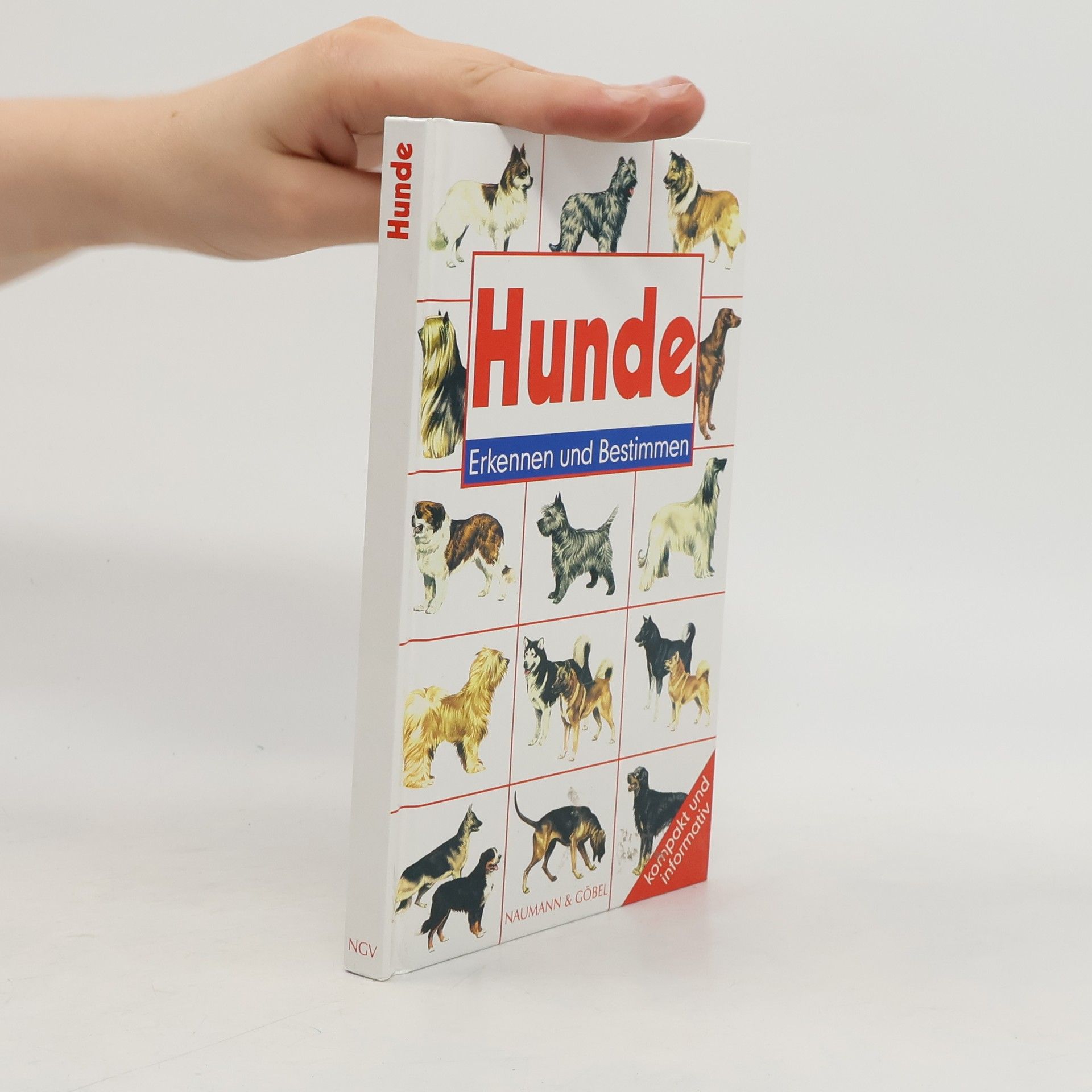 Wendy Boorer Hunde